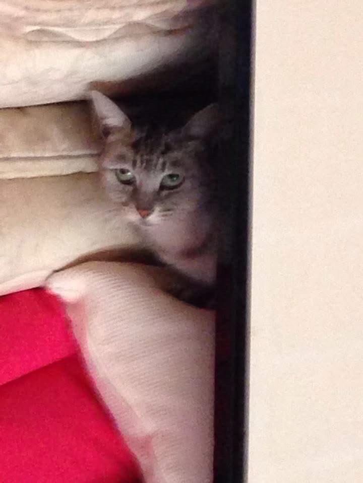 何するか考える枠