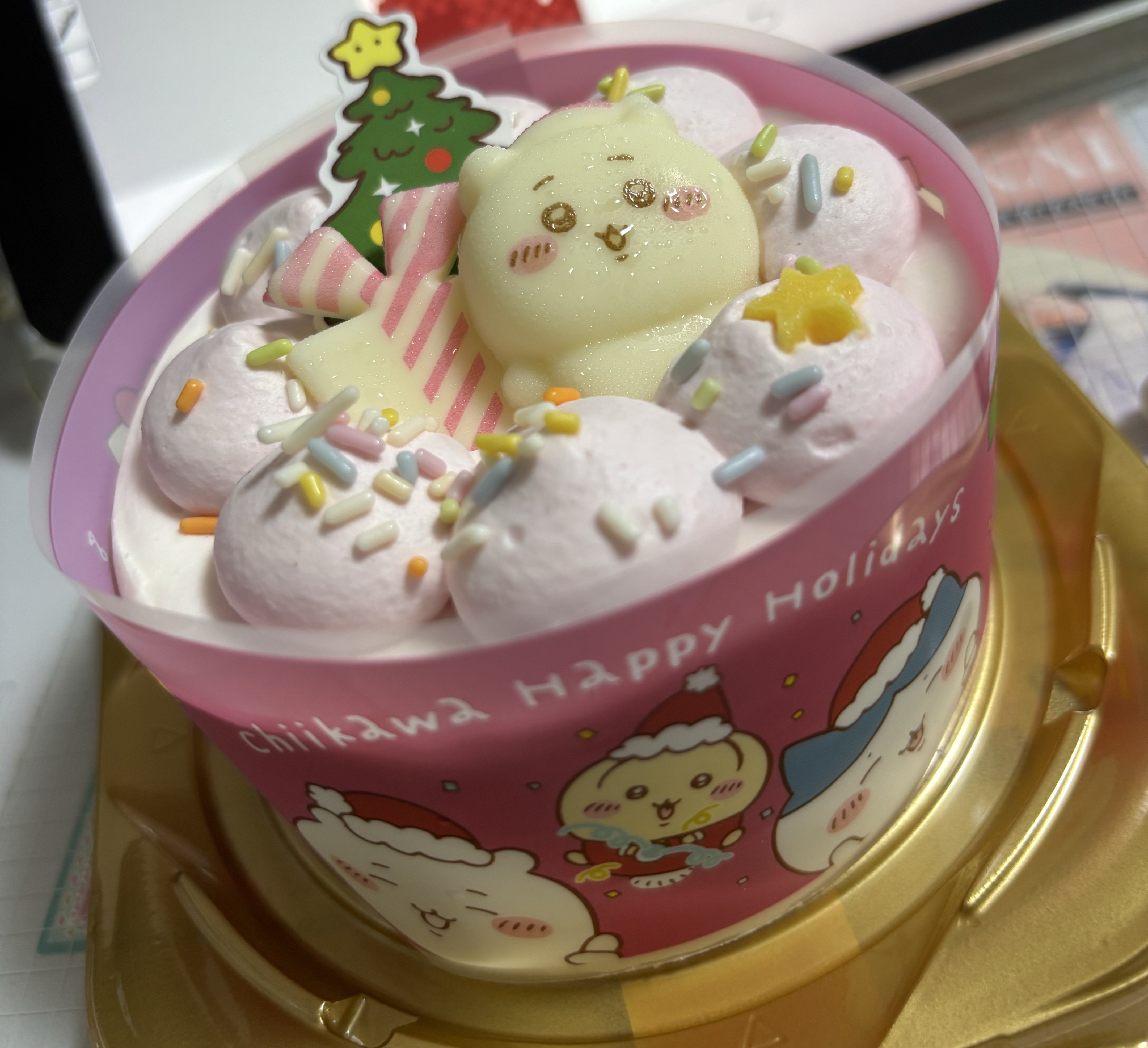 サンタさんをつかまえよう‼️🎅🏻