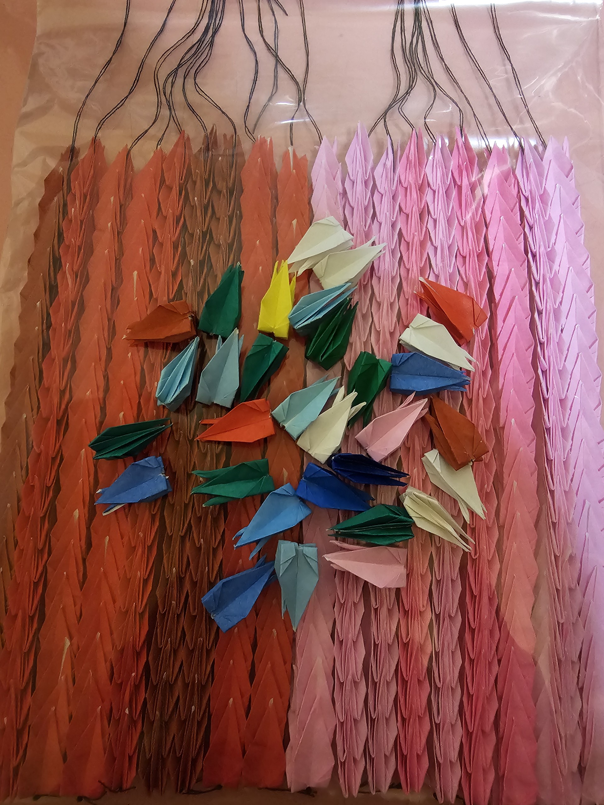 深夜枠、寝落ちして下さい。