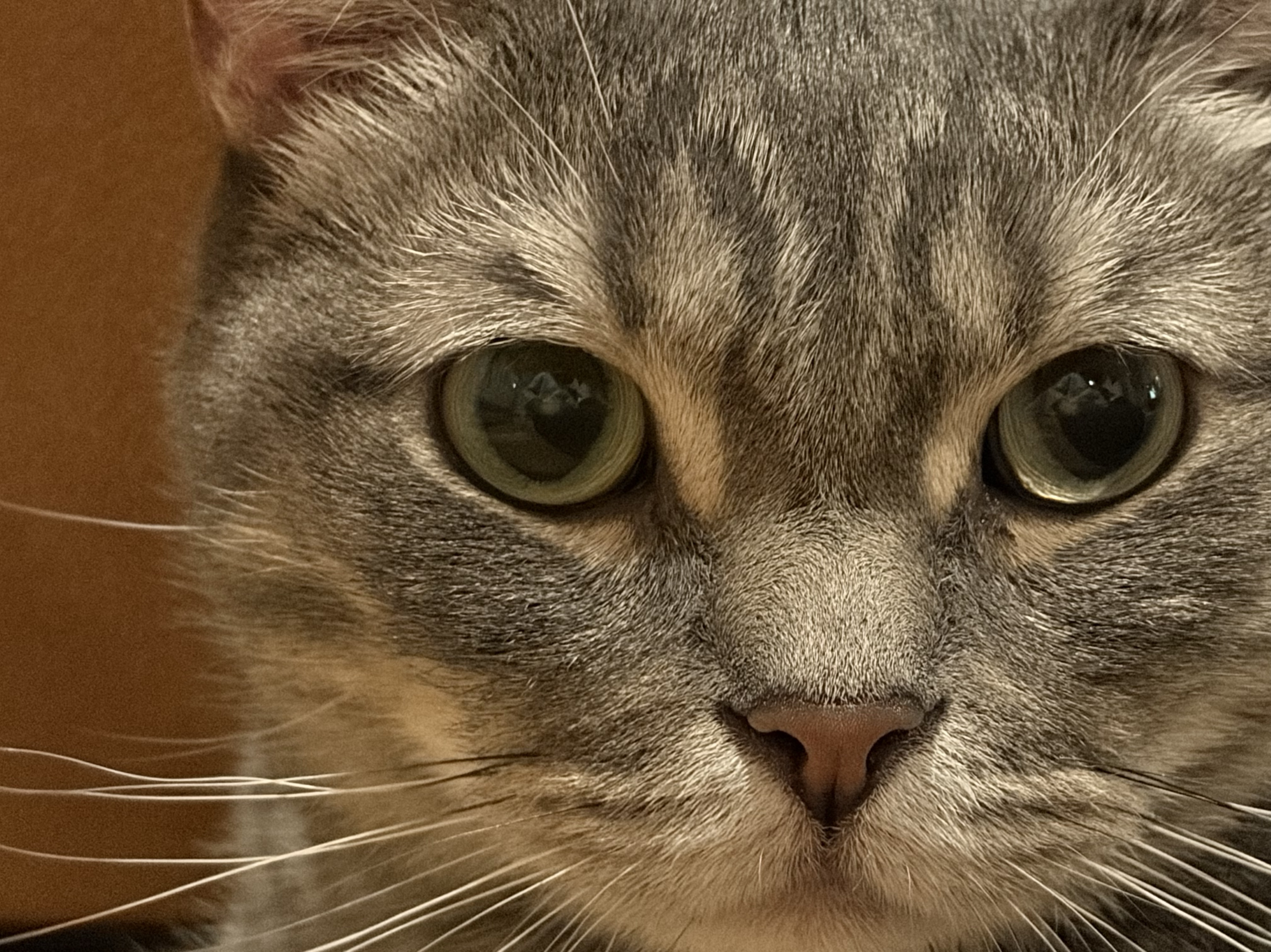 初見さん話そう