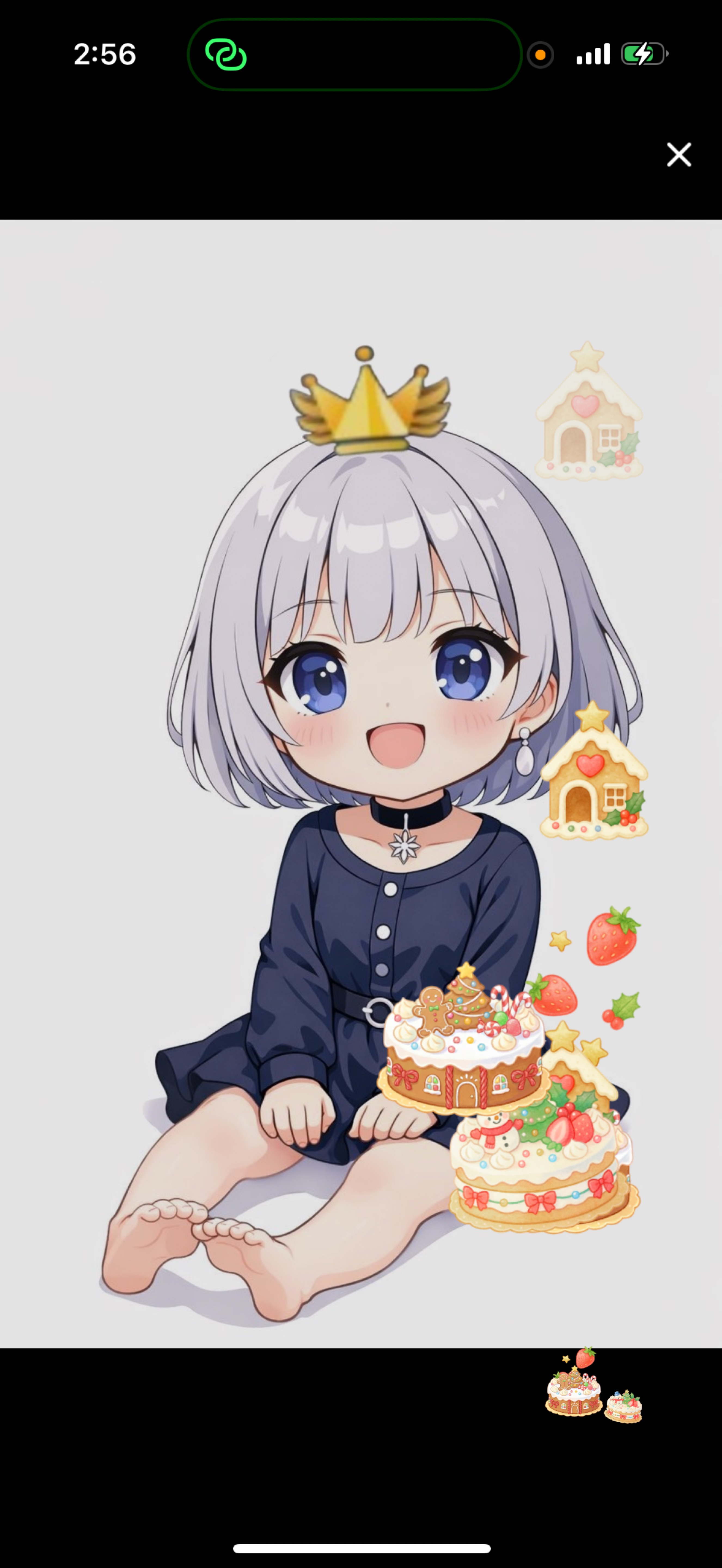 12/26🌙こんばんは定時///