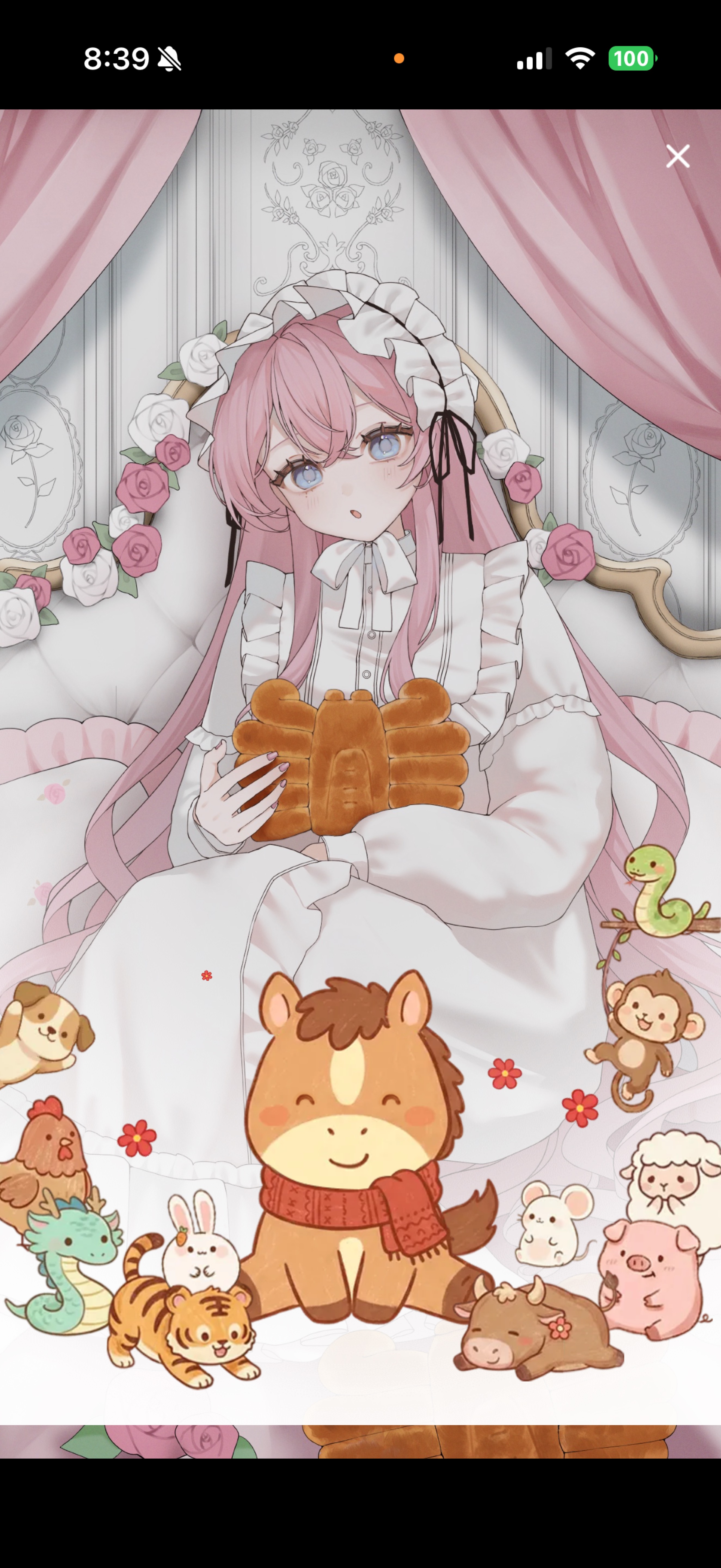 ハッピーな人です🪄︎︎💫