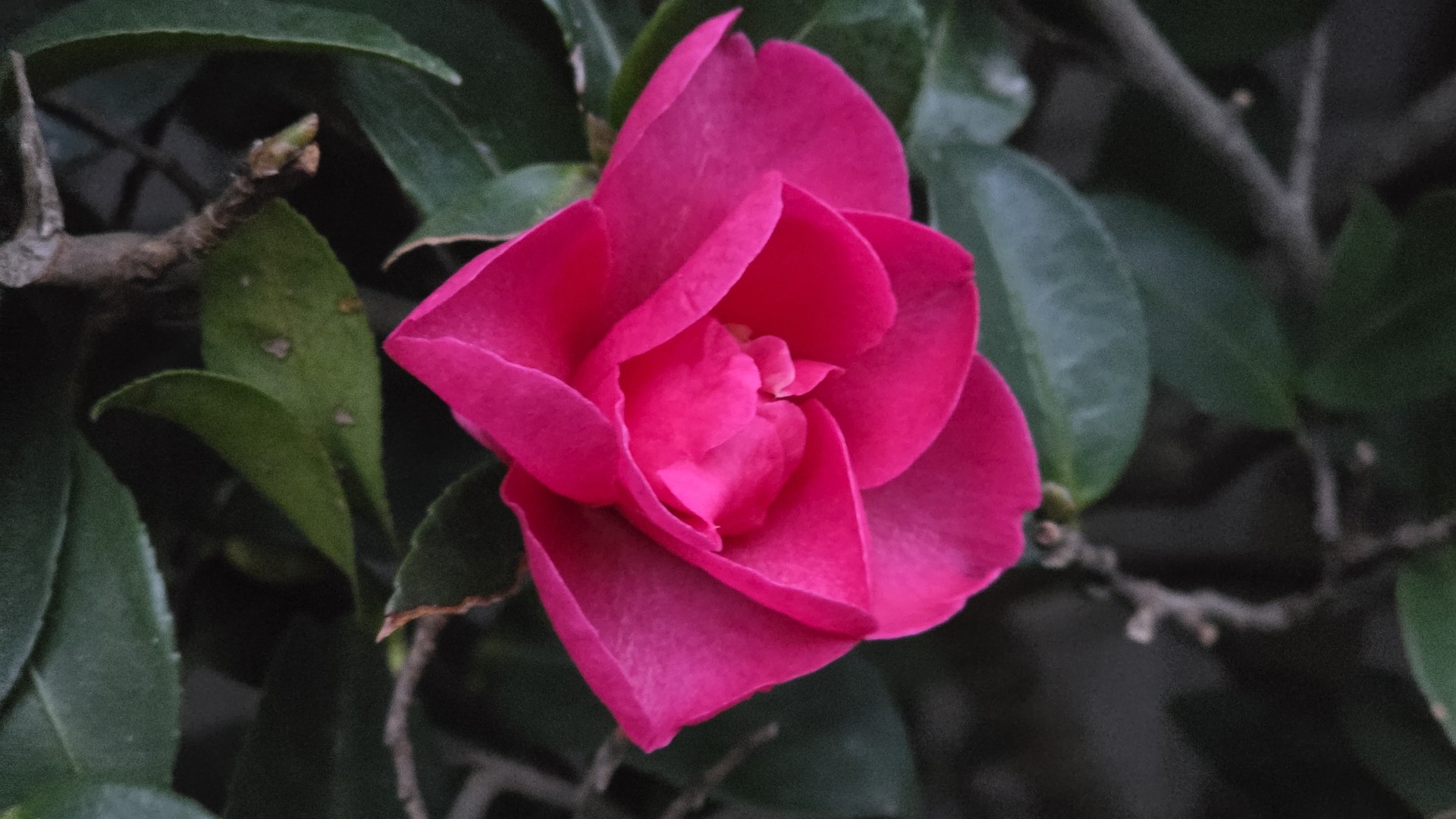 低音カラオケ。。。