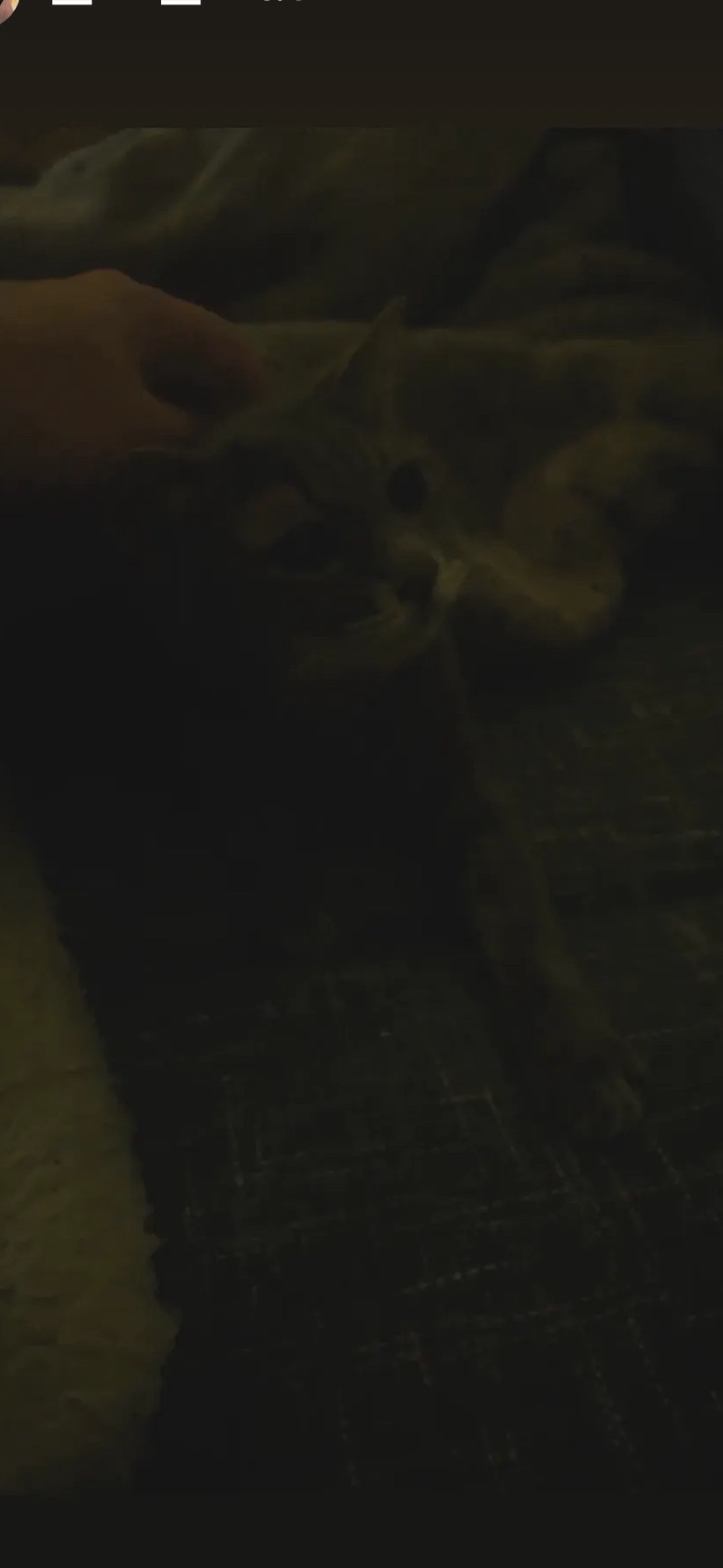 深夜弾き語り/ソロギター