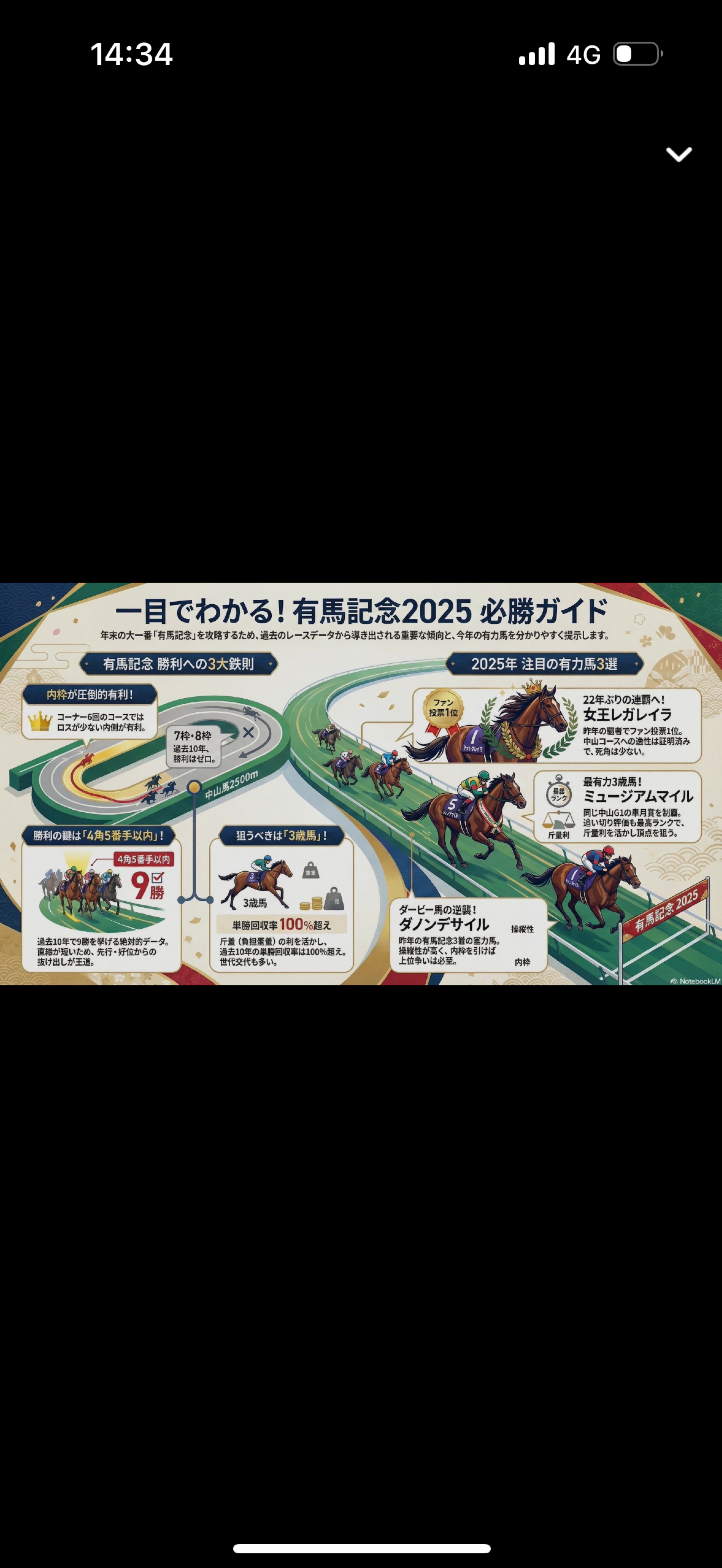 28日、有馬記念あるよ🐴