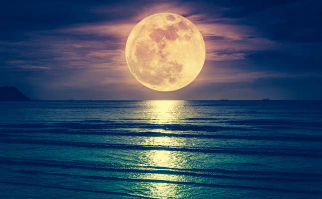 初見歓迎！緑川光さんっぽい声が雑談