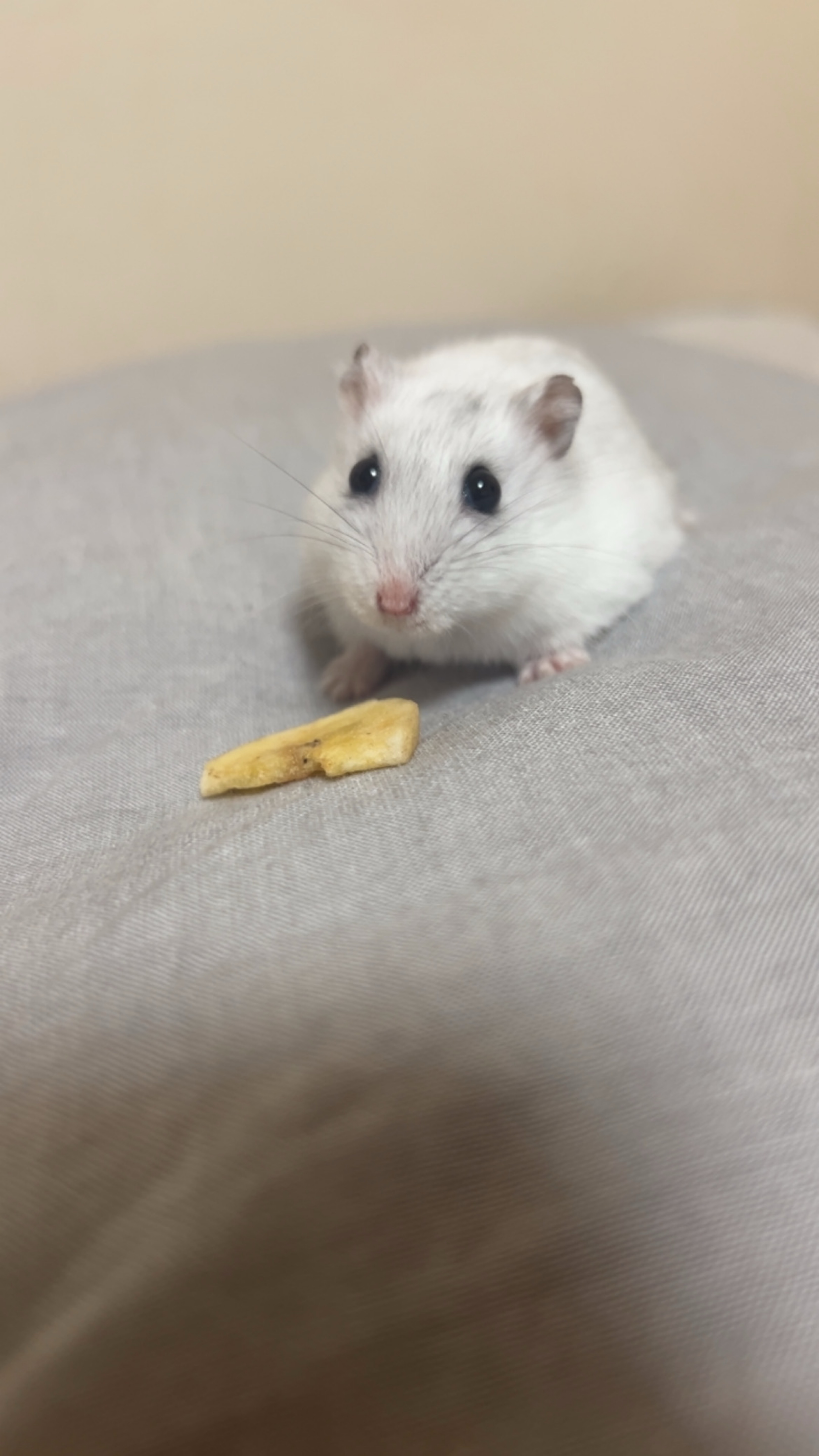 𝘜𝘯𝘥𝘦𝘳𝘨𝘳𝘰𝘶𝘯𝘥 𝘓𝘢𝘣.