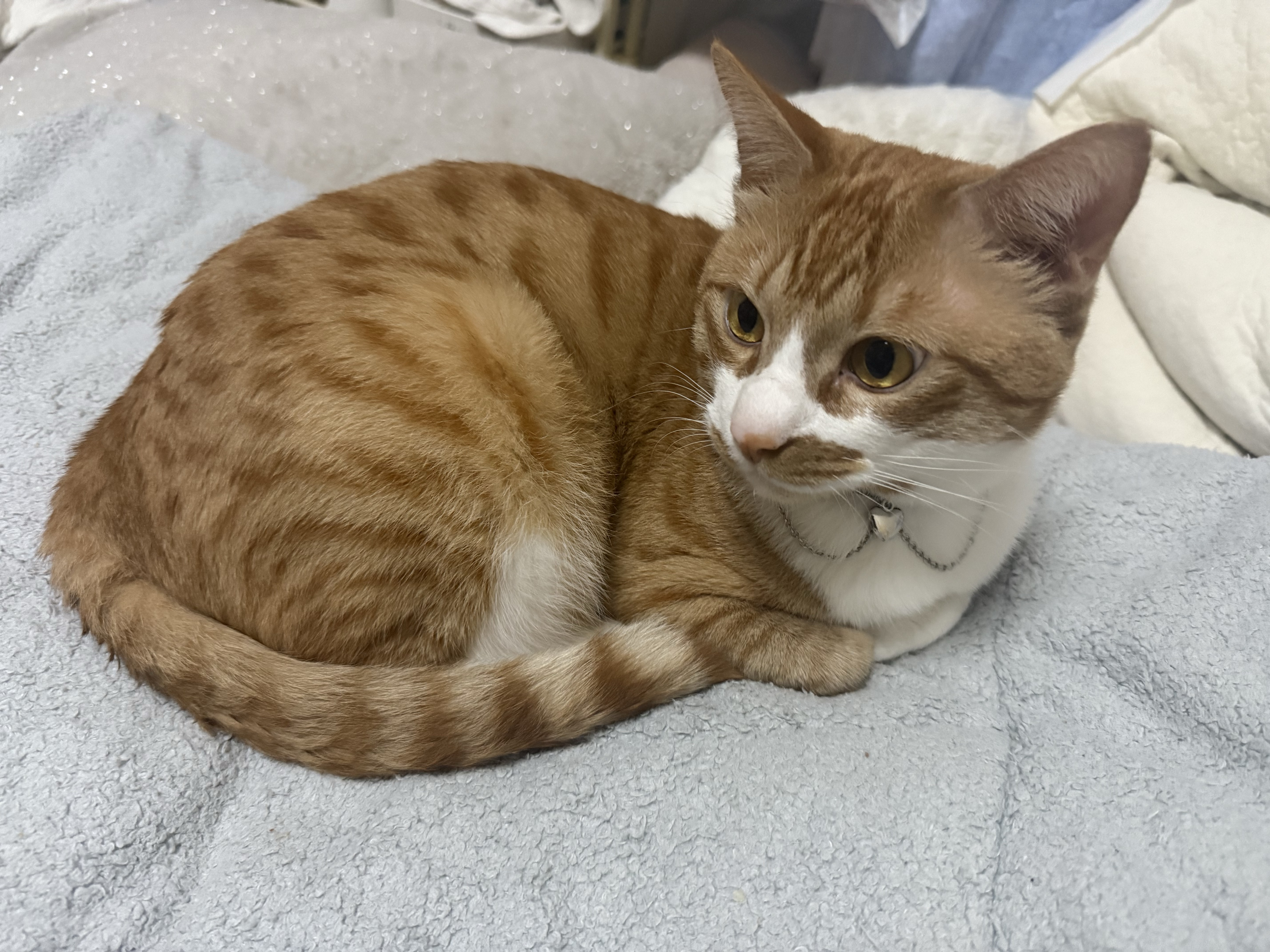 ぬぬ！初見さんFUNさんお話しよ！