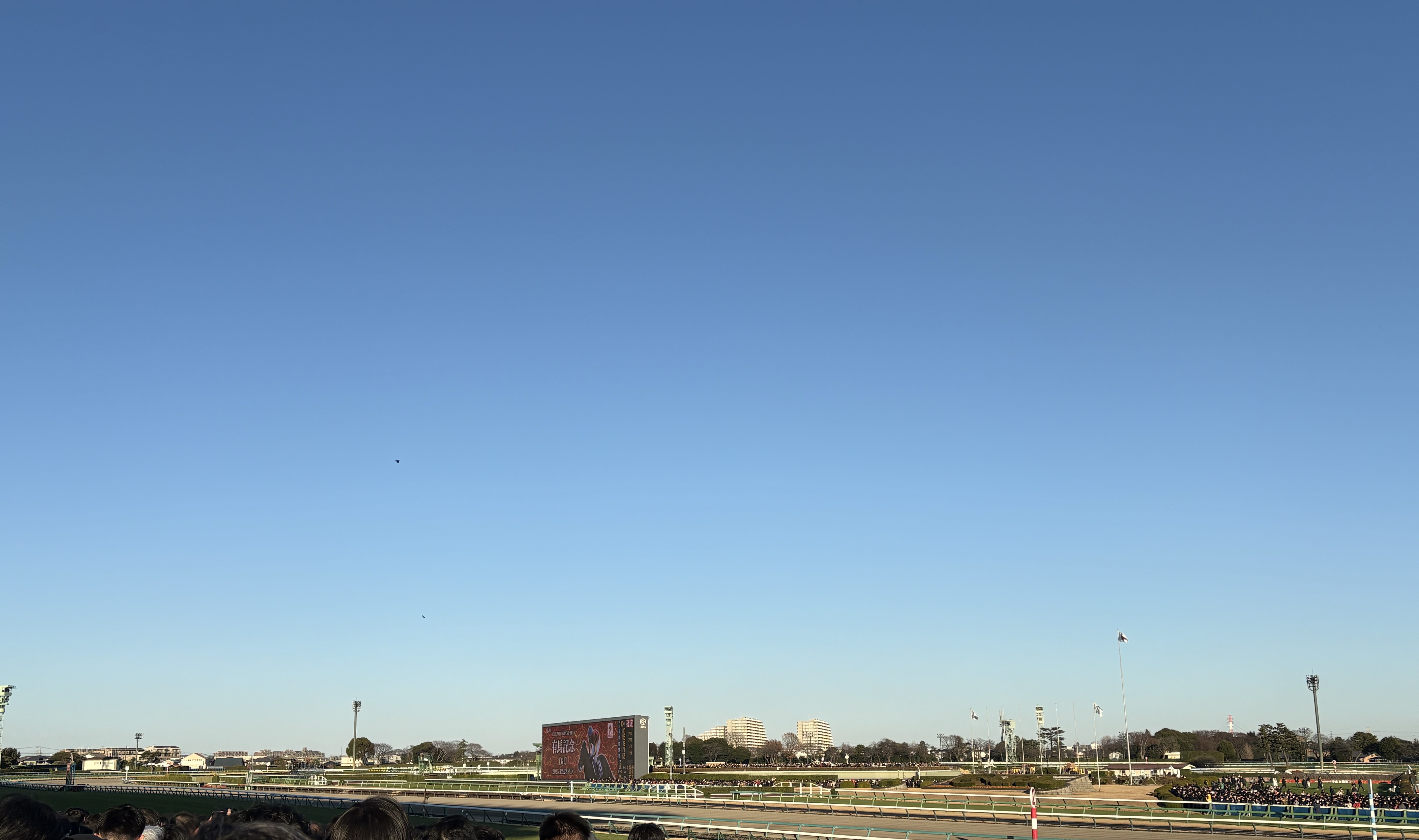 寝る前すこし、勉強