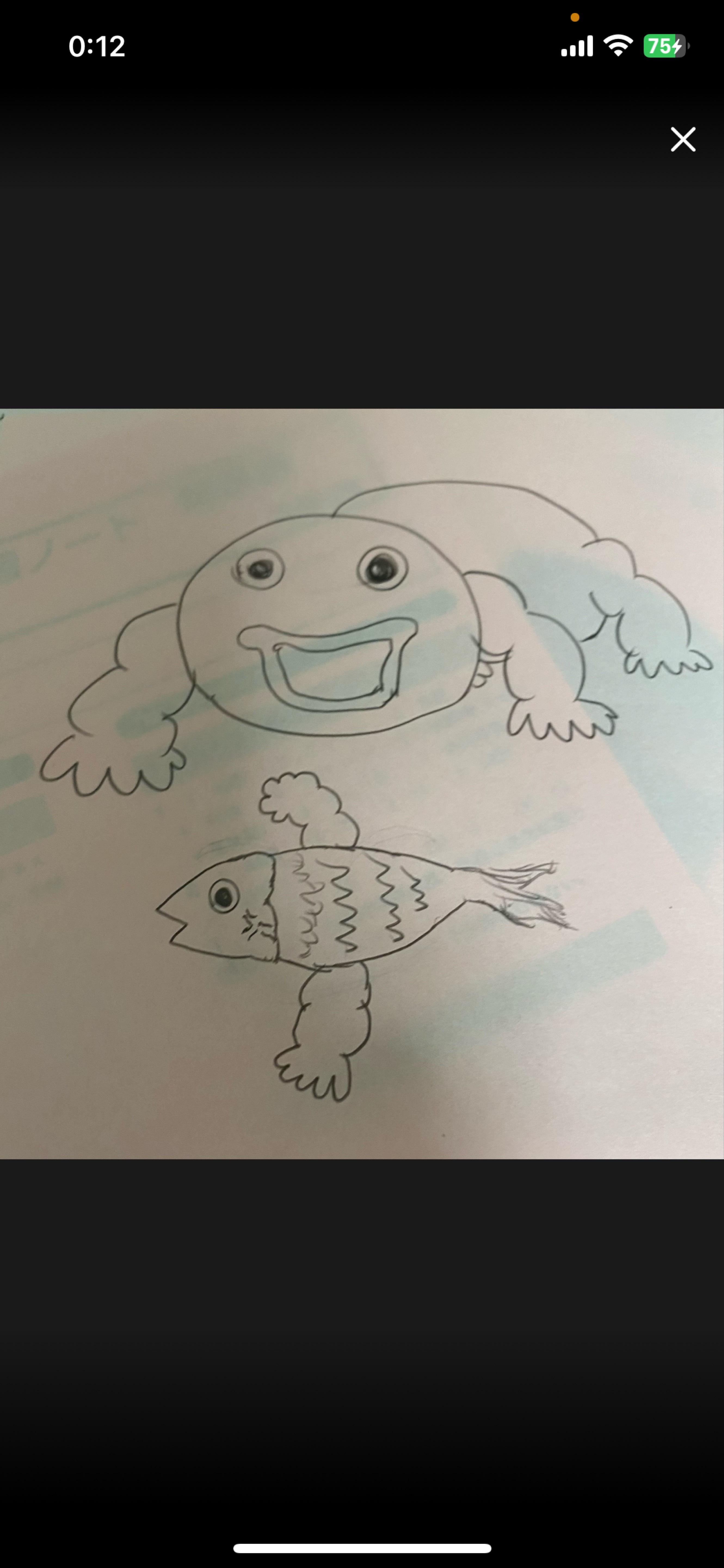 さあさあさあ‼️