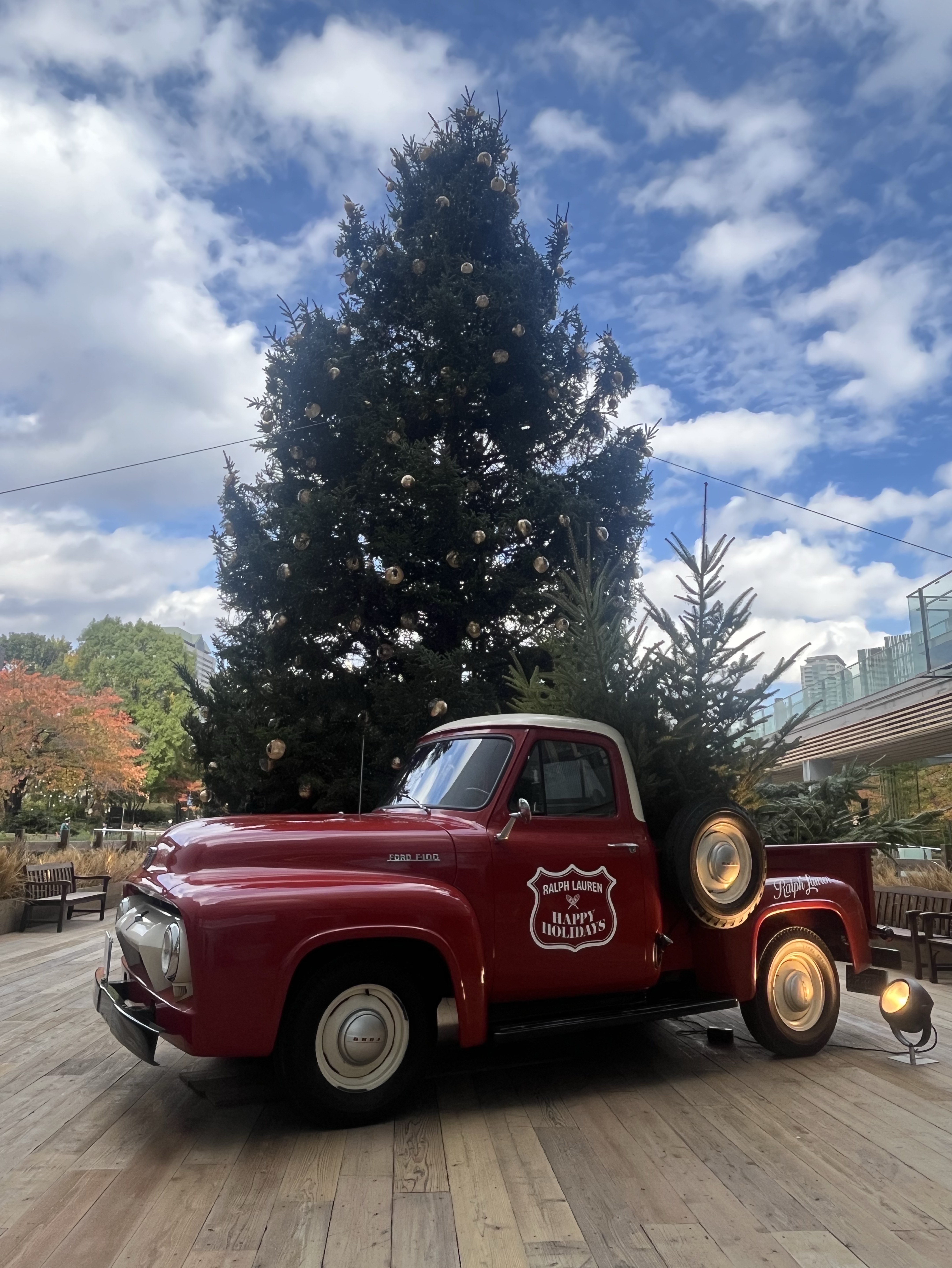 年末体調崩し男