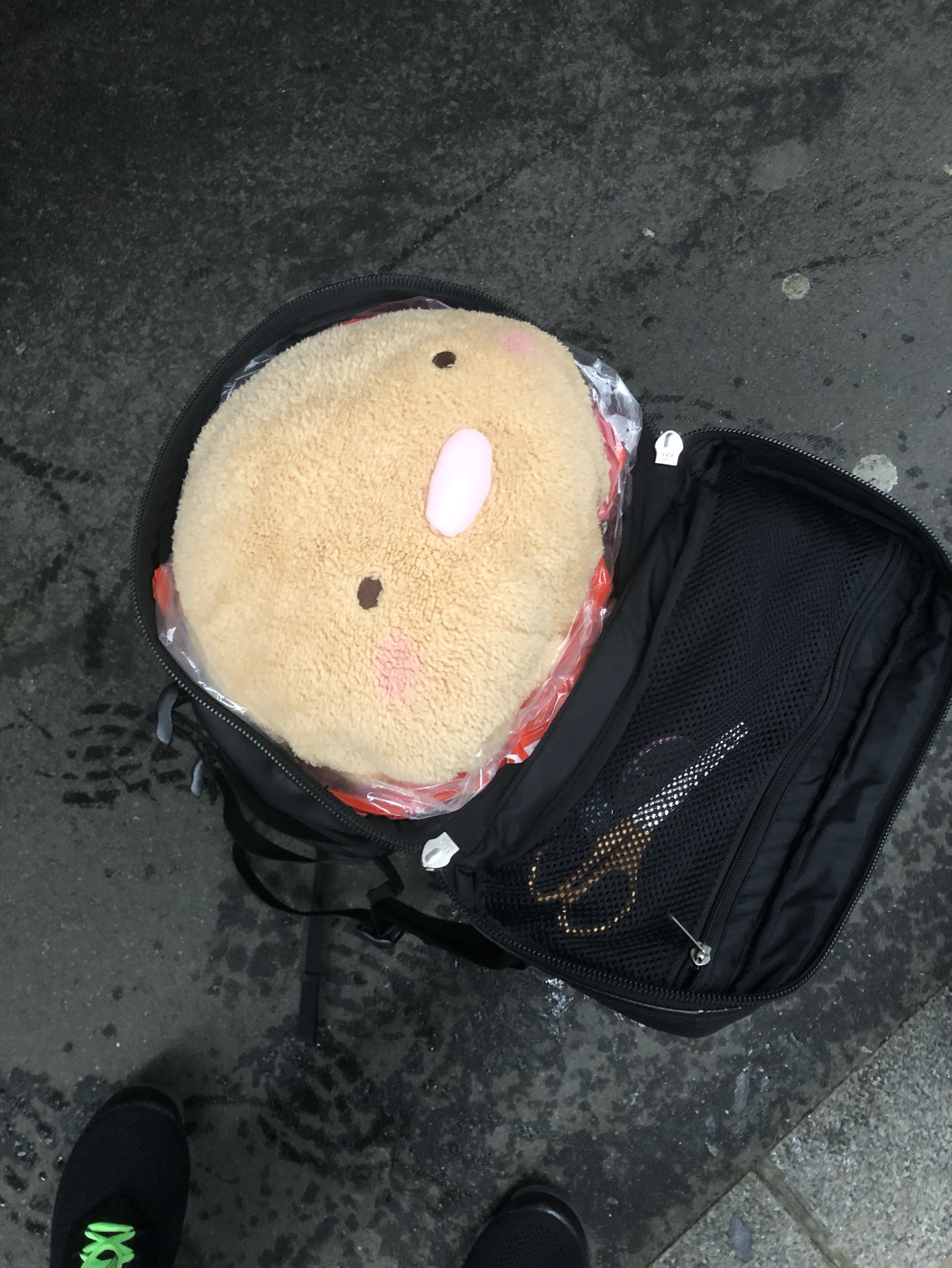 さあさあさあ‼️