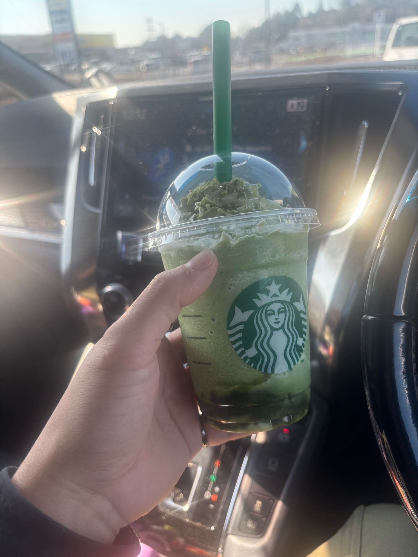 はつはいしん🐈