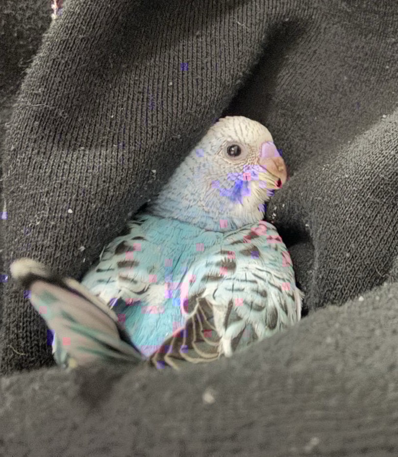 初見⭕️コラボ⭕️寝落ち⭕️今年ラスト枠