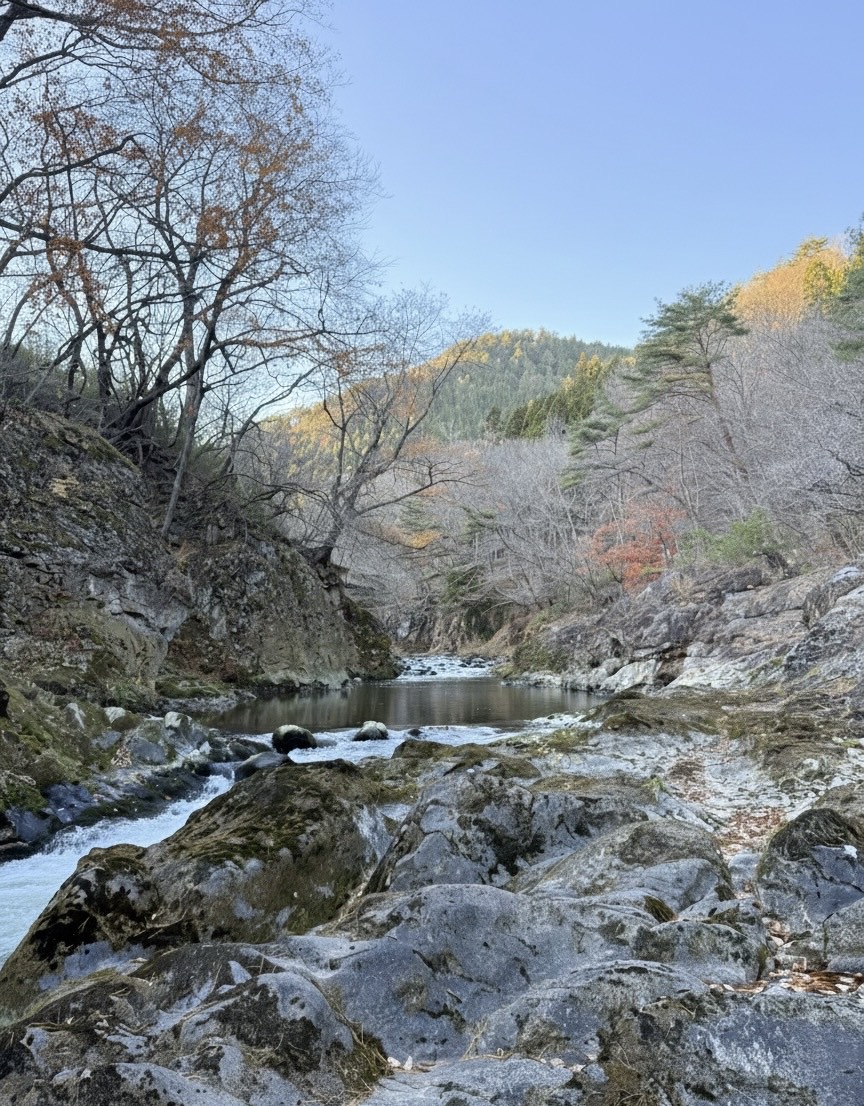 初見さん大歓迎/大人の雑談/未成年🆖