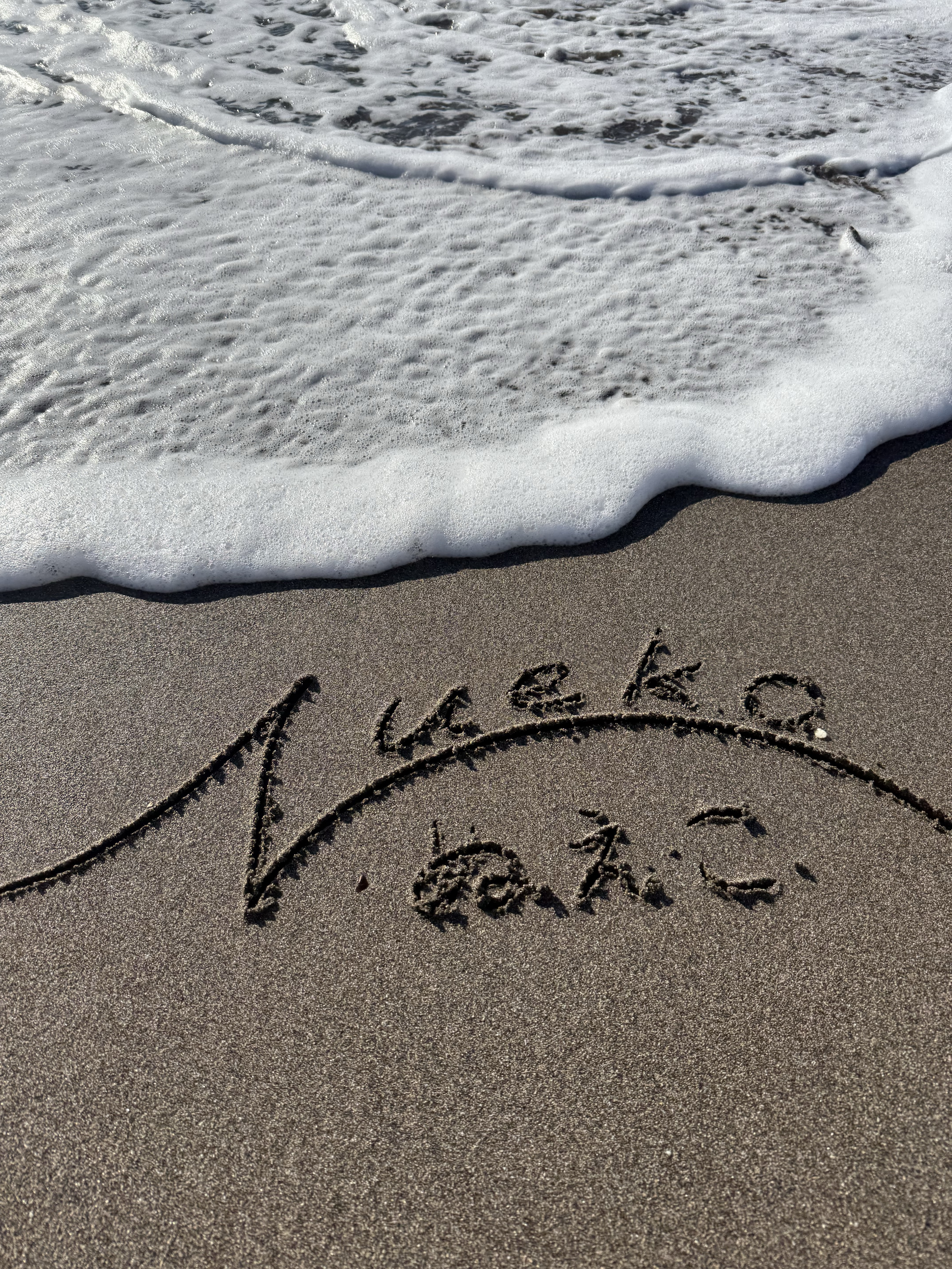 今年ラスト朝海枠