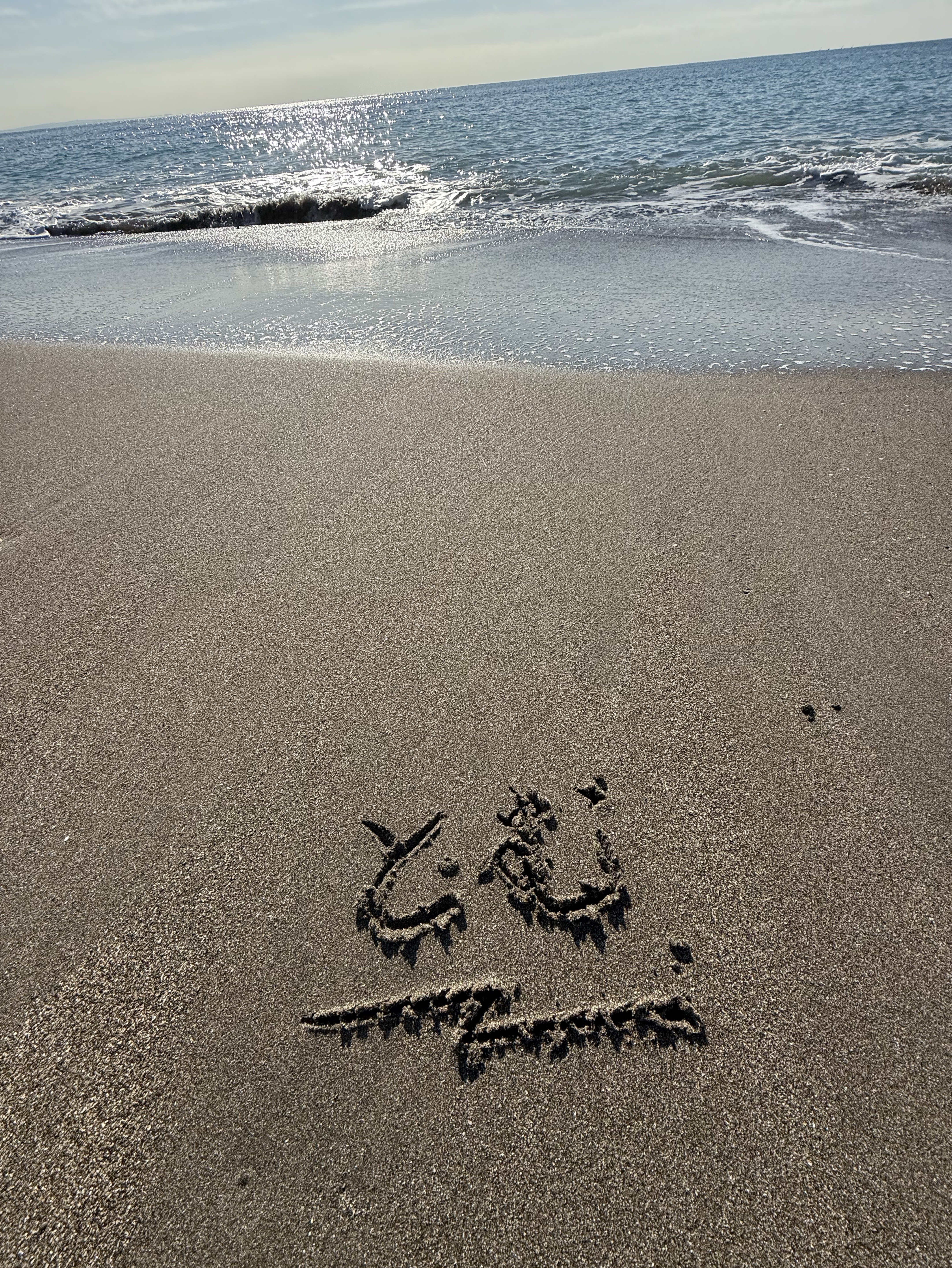 今年ラスト朝海枠