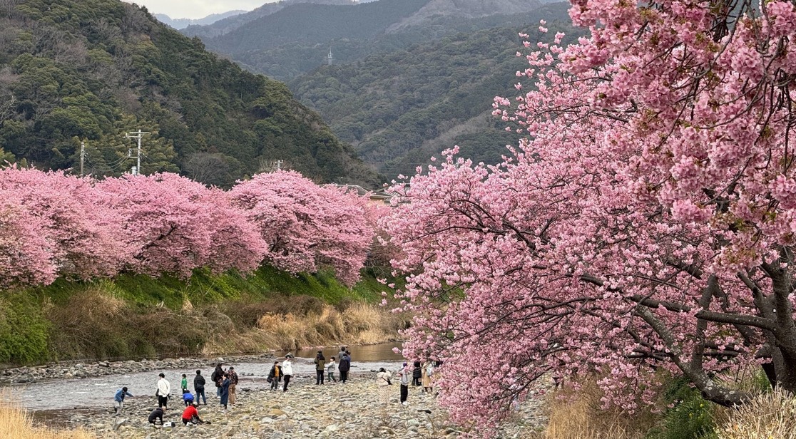 雑談枠／初◎・潜◎