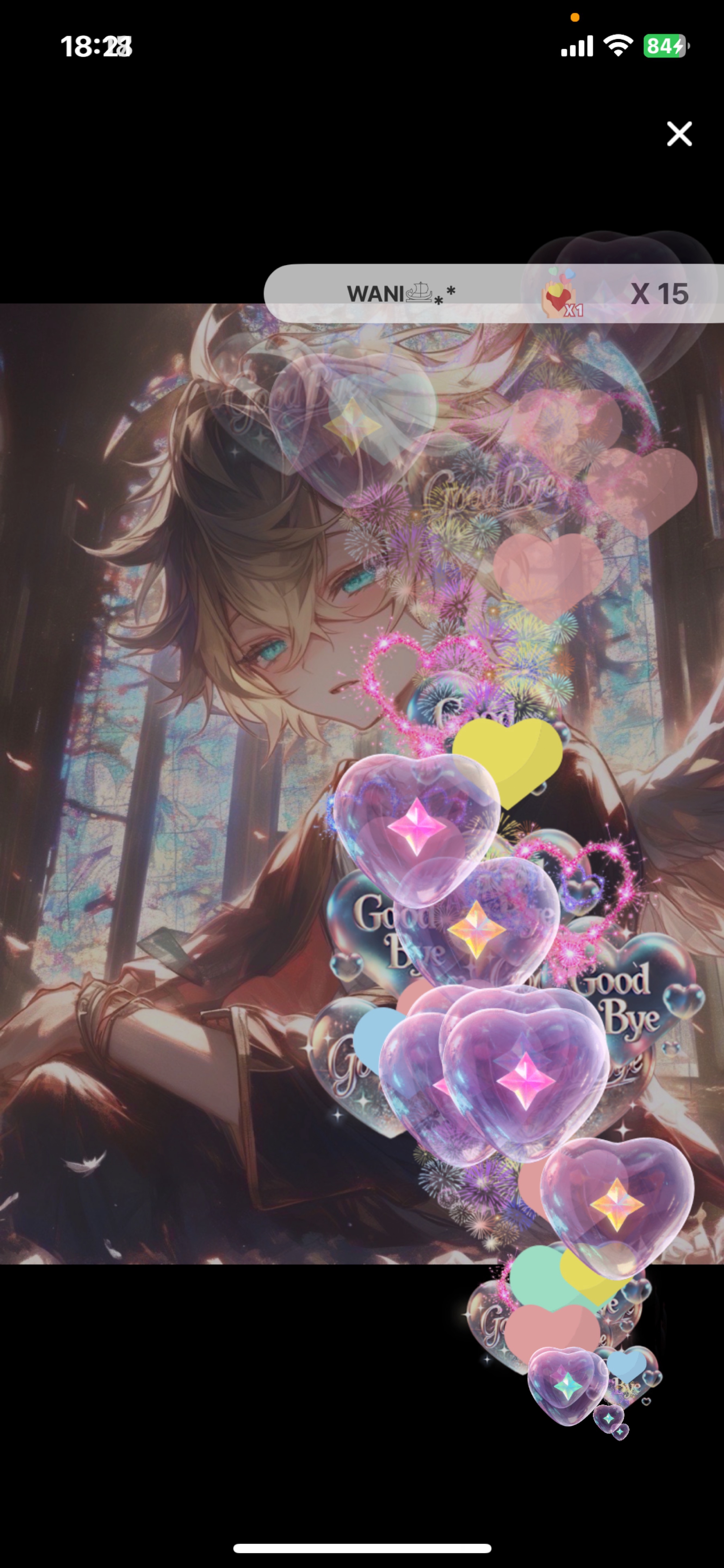 今年ラスト配信‼️