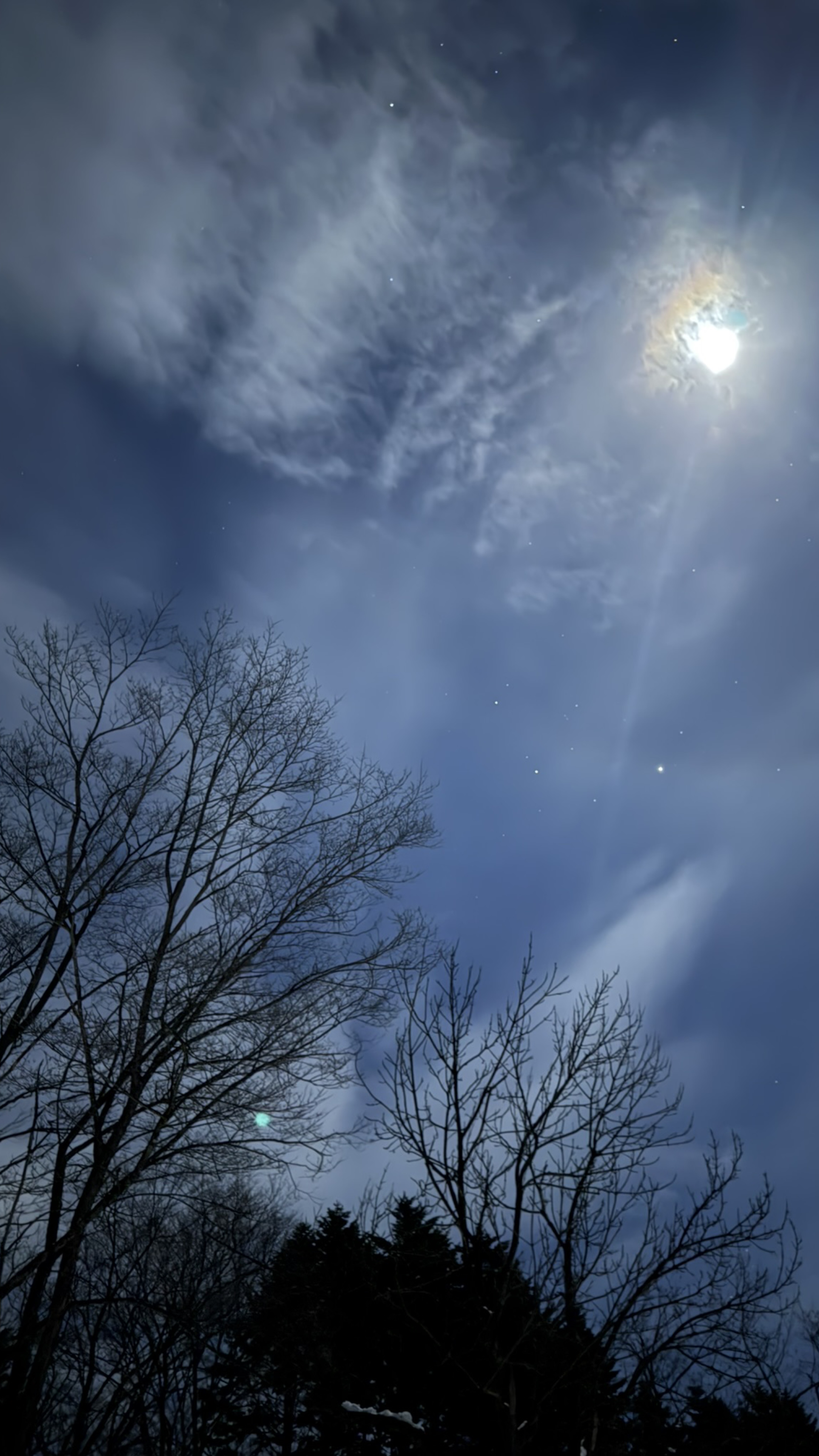 東の果てに帰還。