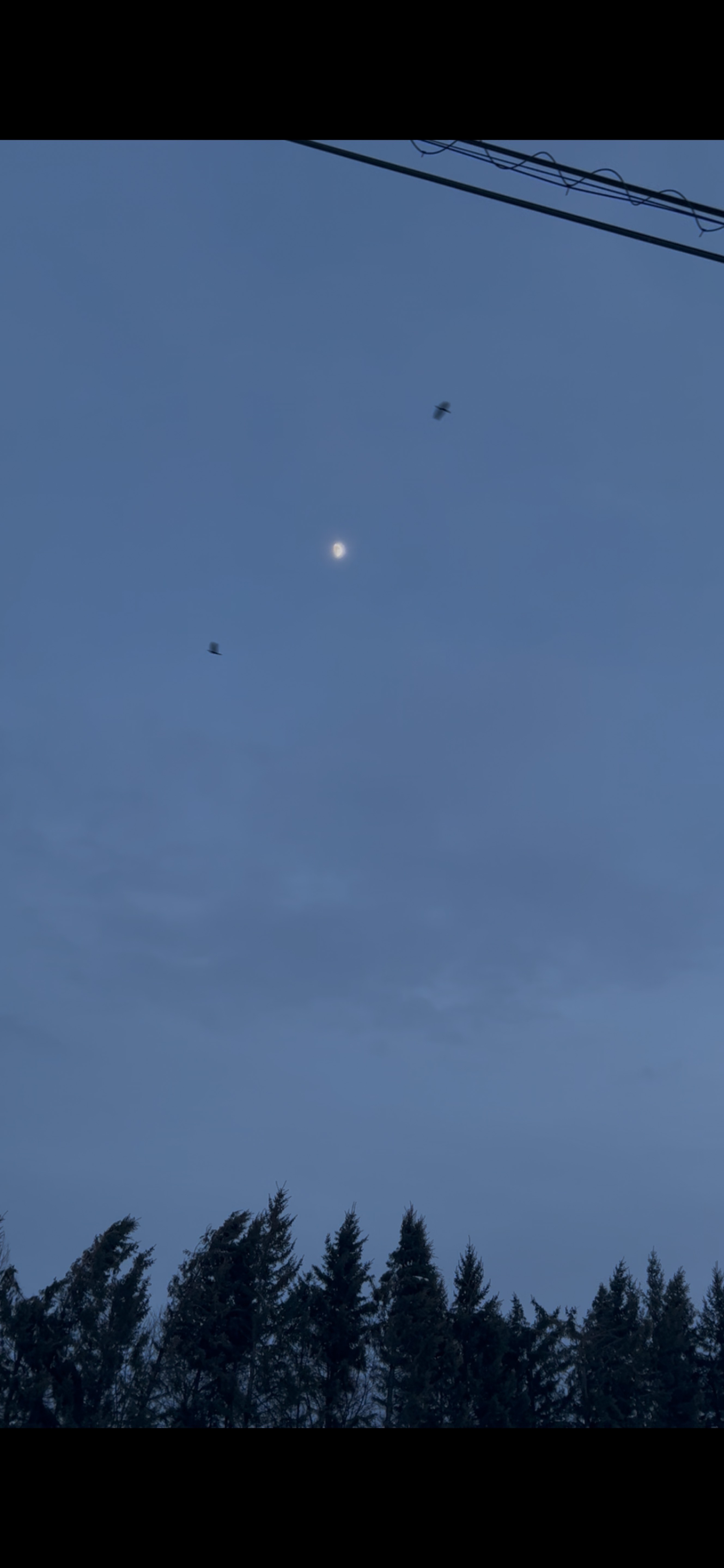 ギター弾きたい