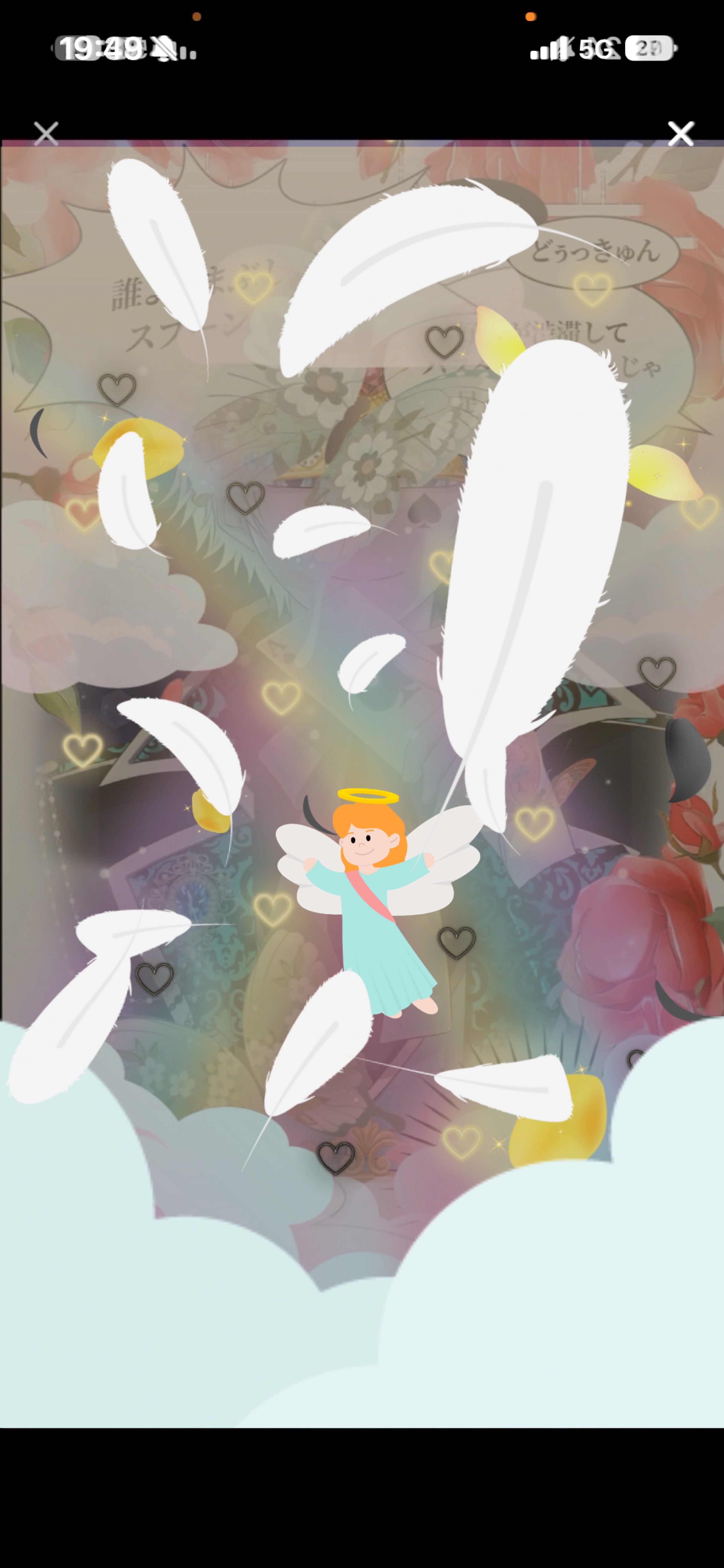 夕方枠！おいでー！