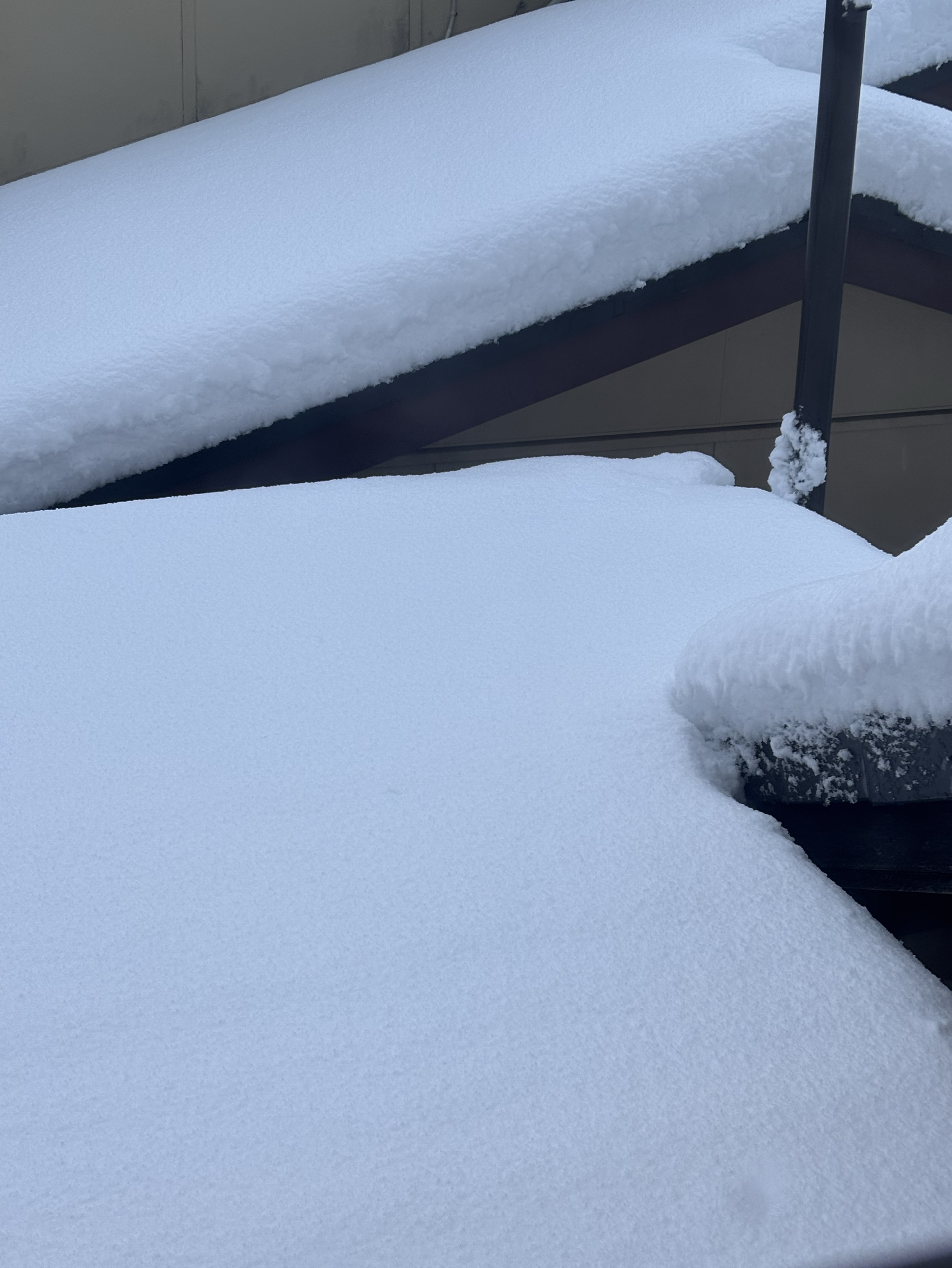 睡 眠 安 定 剤💤✡︎⋆