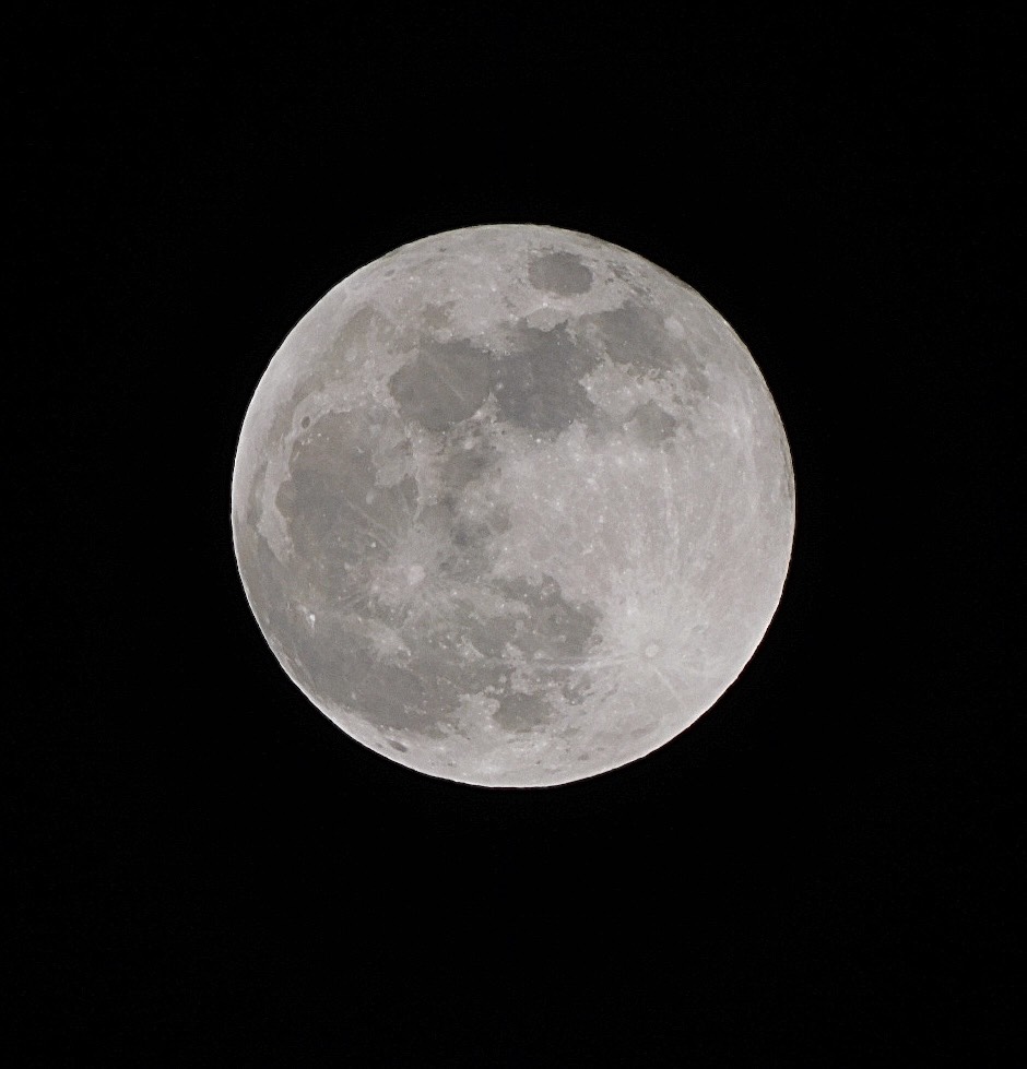 枠主参加型寝落ち枠