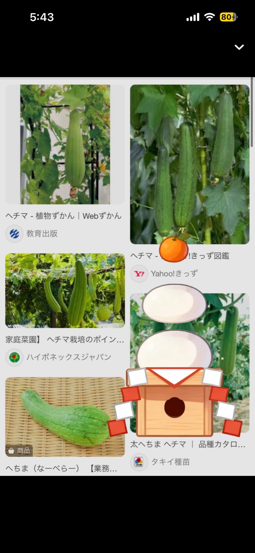 お 寝 坊 さ ん 𓈒𓏸