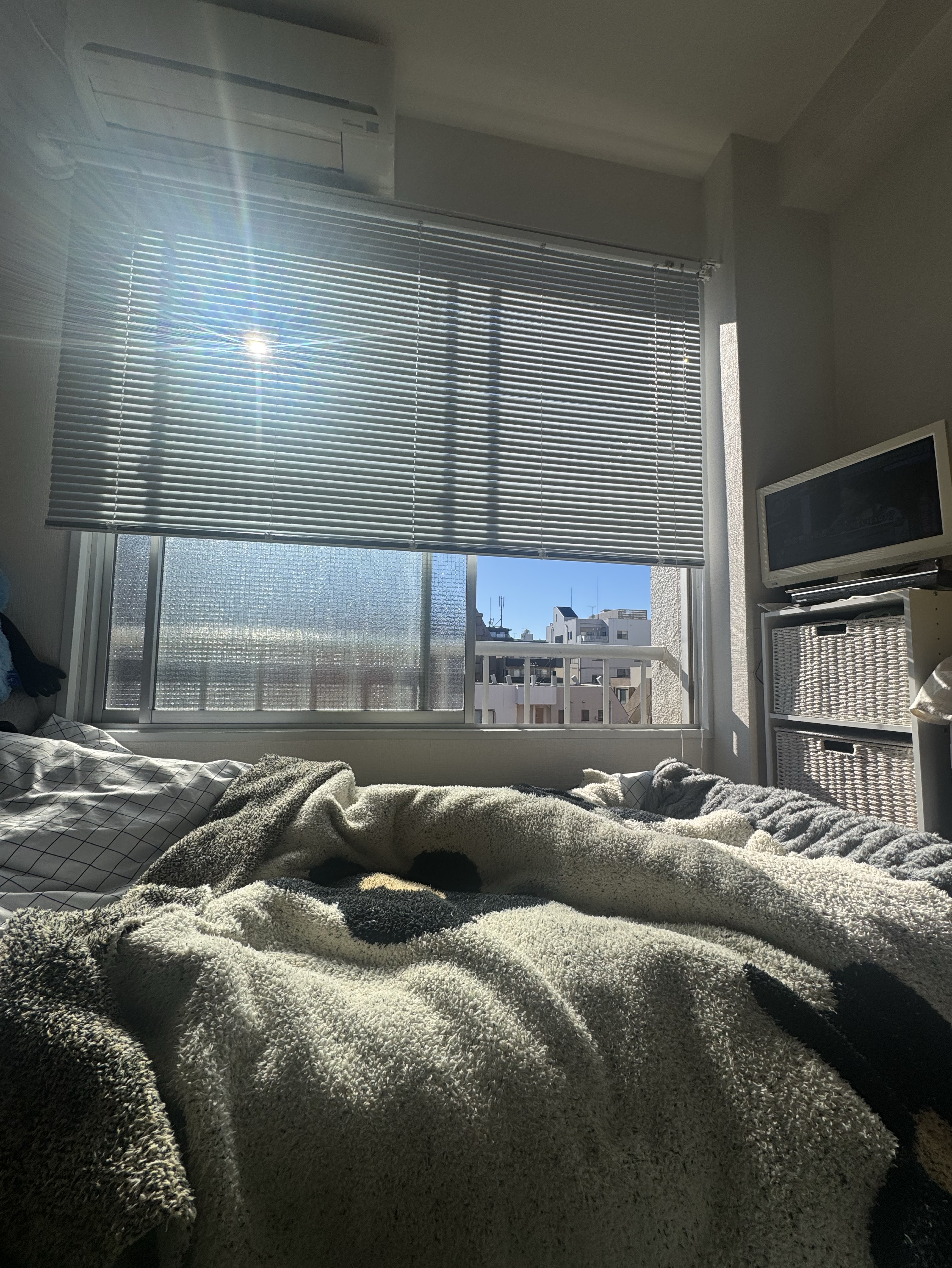 🏠どーぞーご自由に。