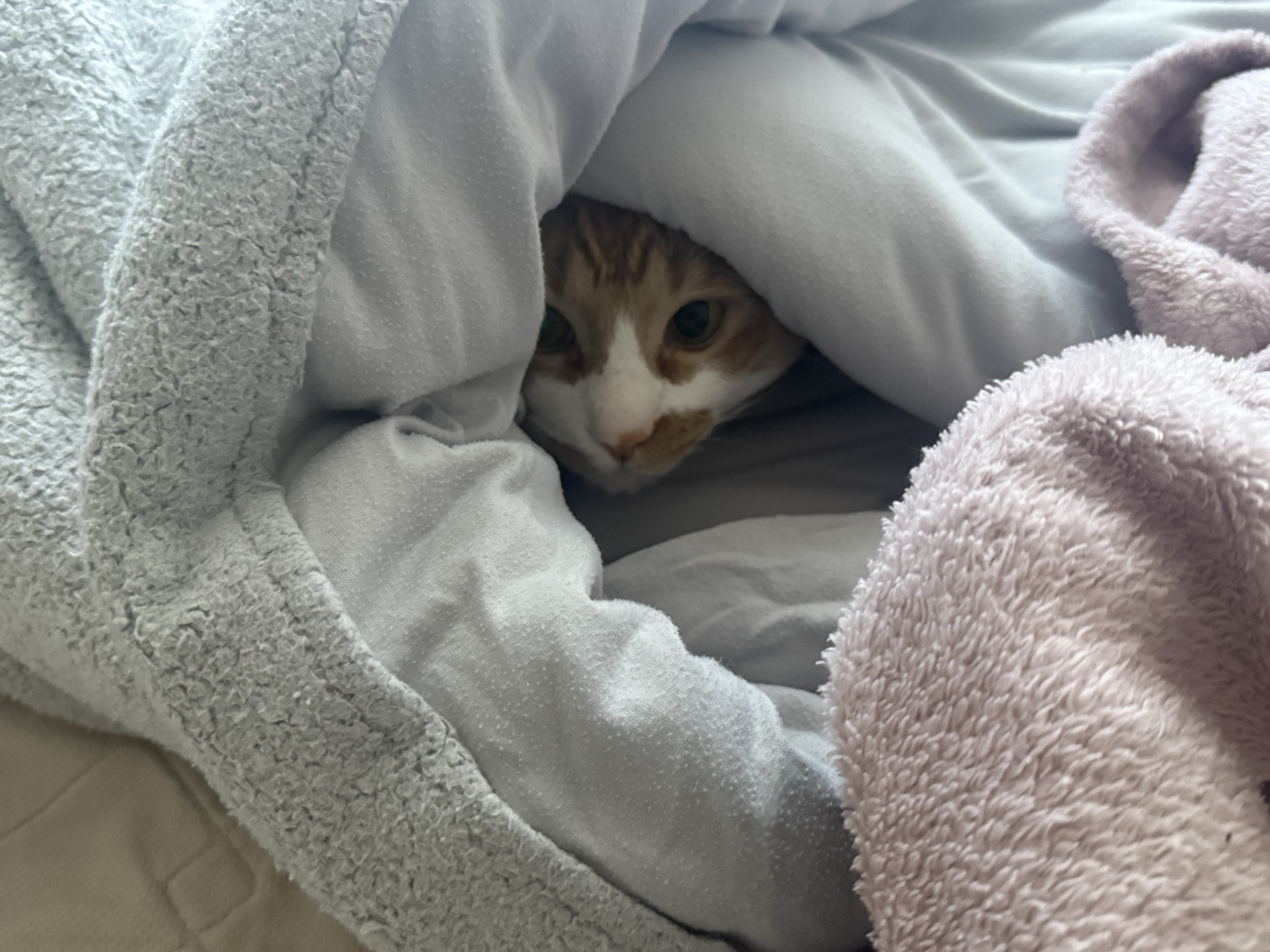 おはよ！初見さんFUNさんお話しよ！