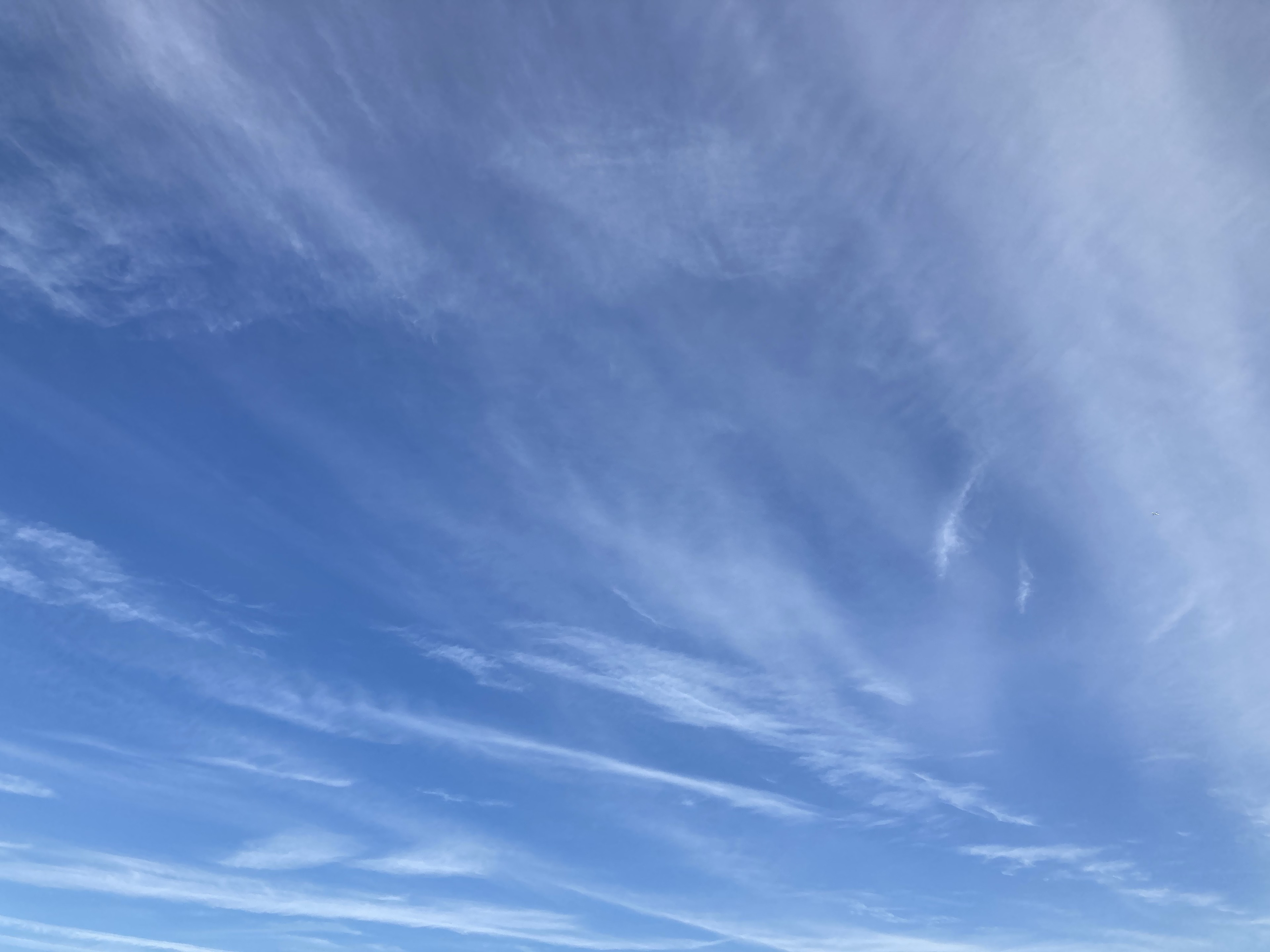 音楽聴きながら寝落ちしたい