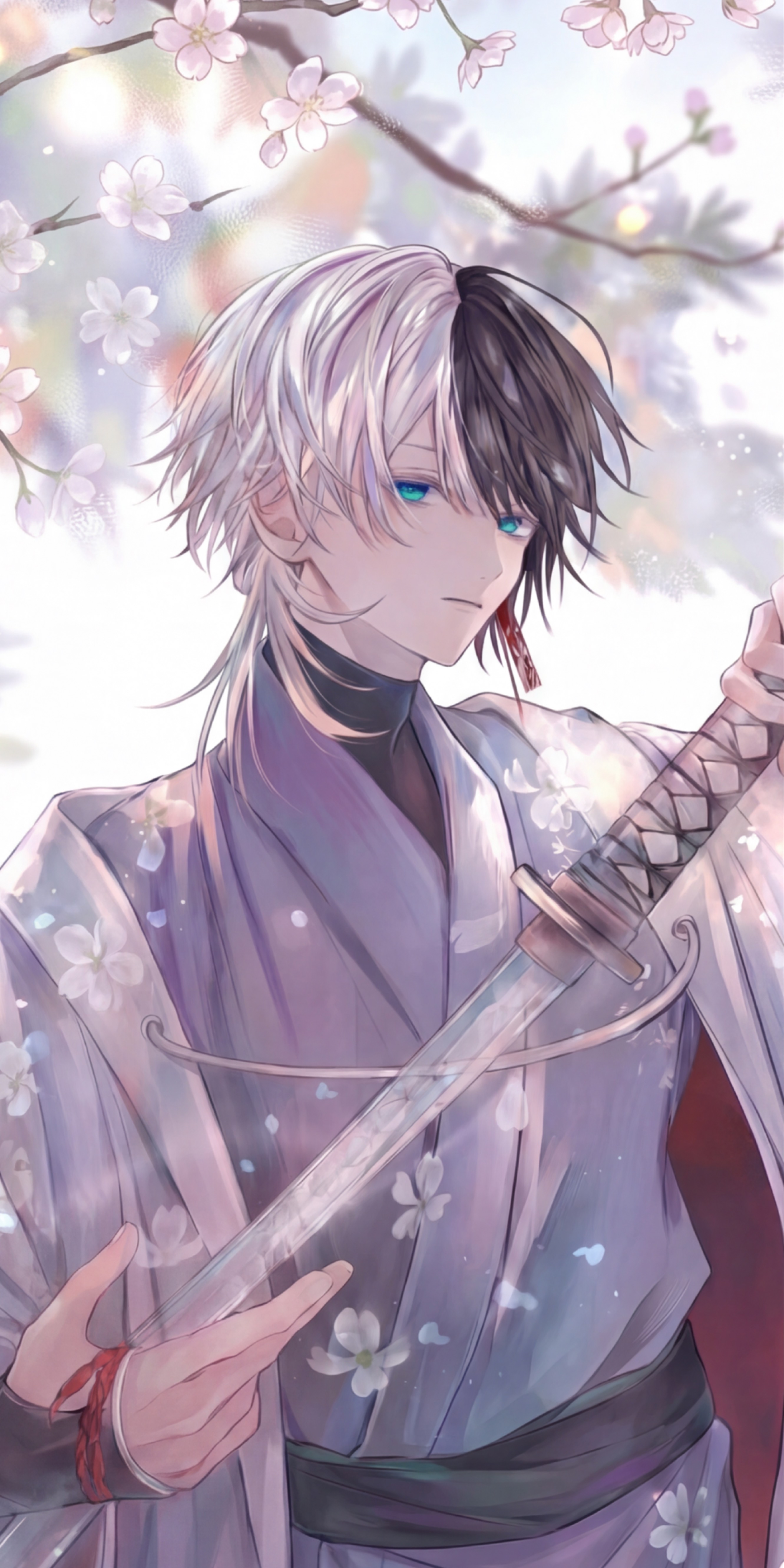 夕方枠！おいでー！