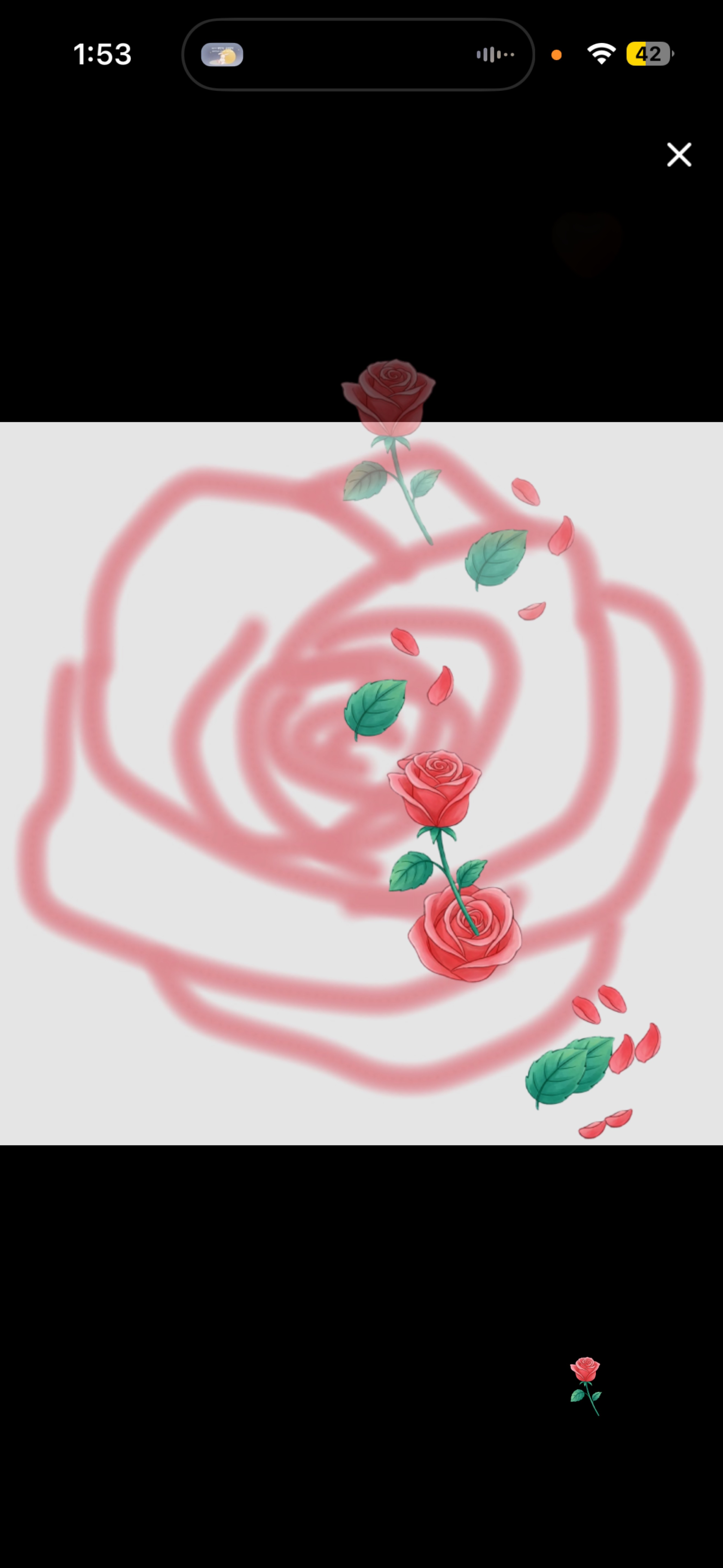 寝落ちしにおいで🐑🎀￤初見/潜◎