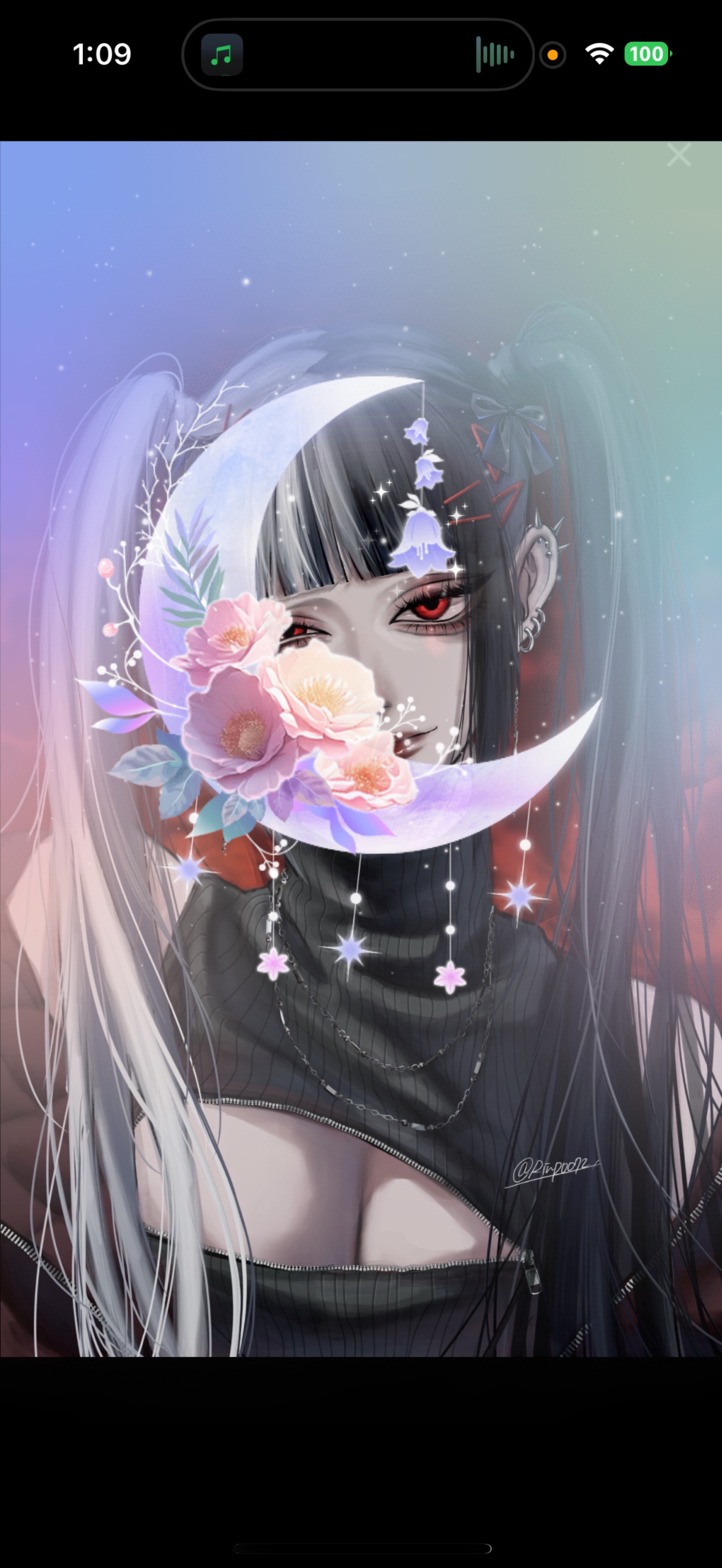 ちょっとだけ🐹