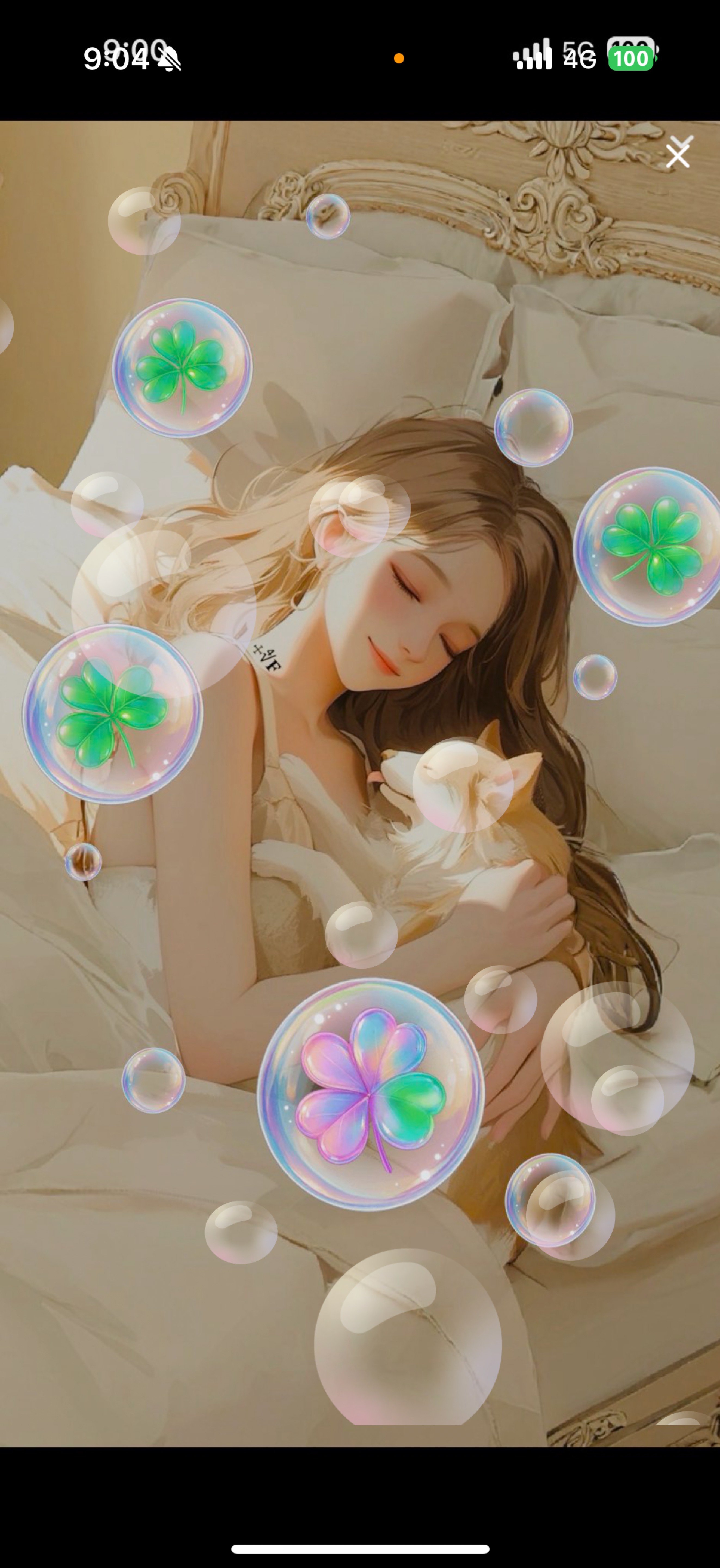 安らぎの空間。