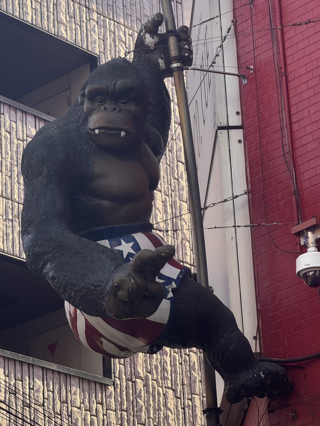 お散歩〜_(:3」∠)_