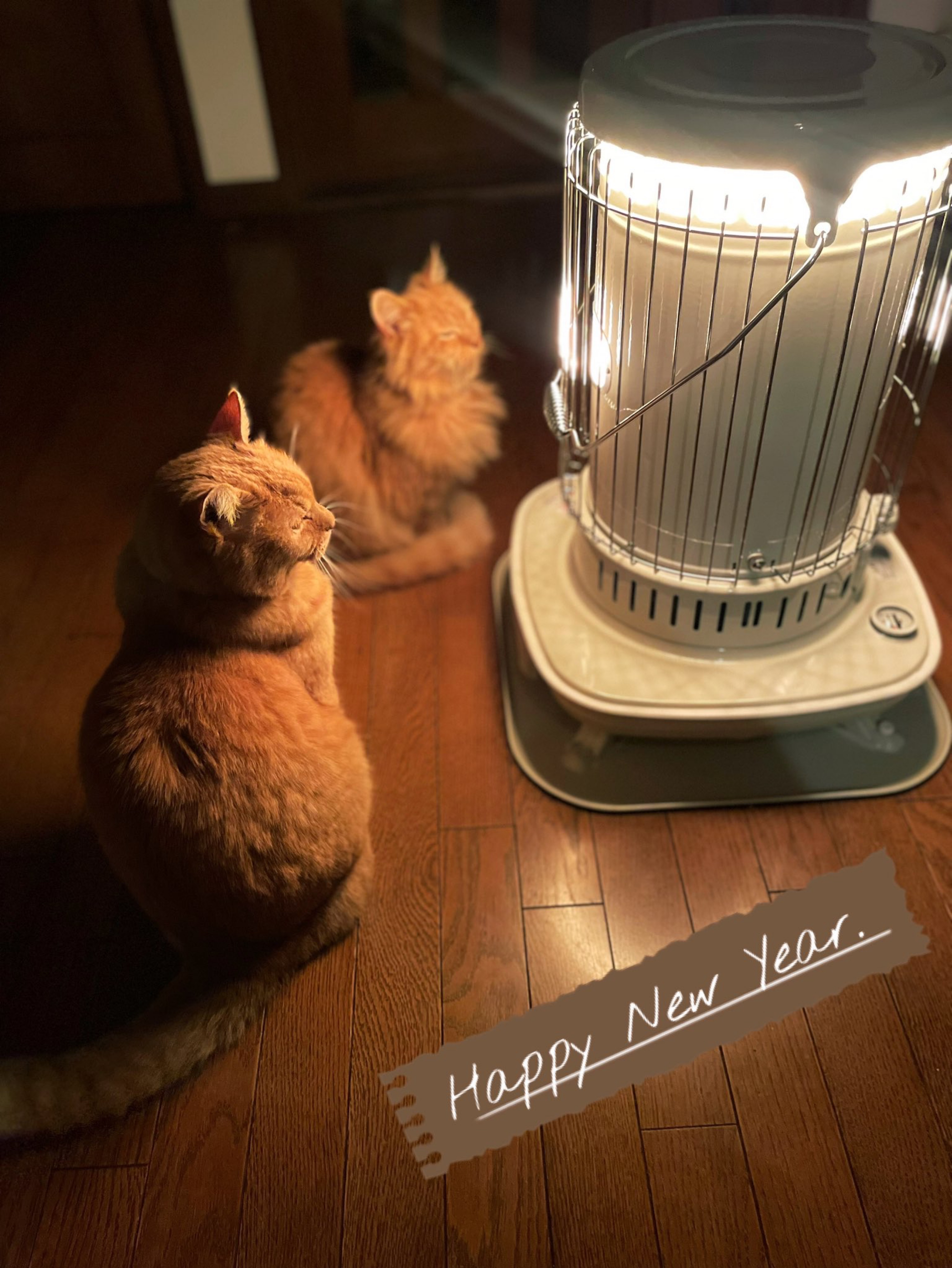 隣の家の畳をひっくり返す