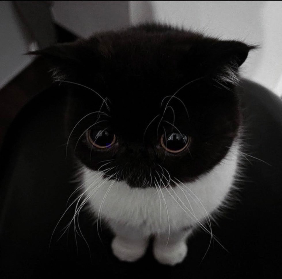 初◎関西低音 離れない人ください