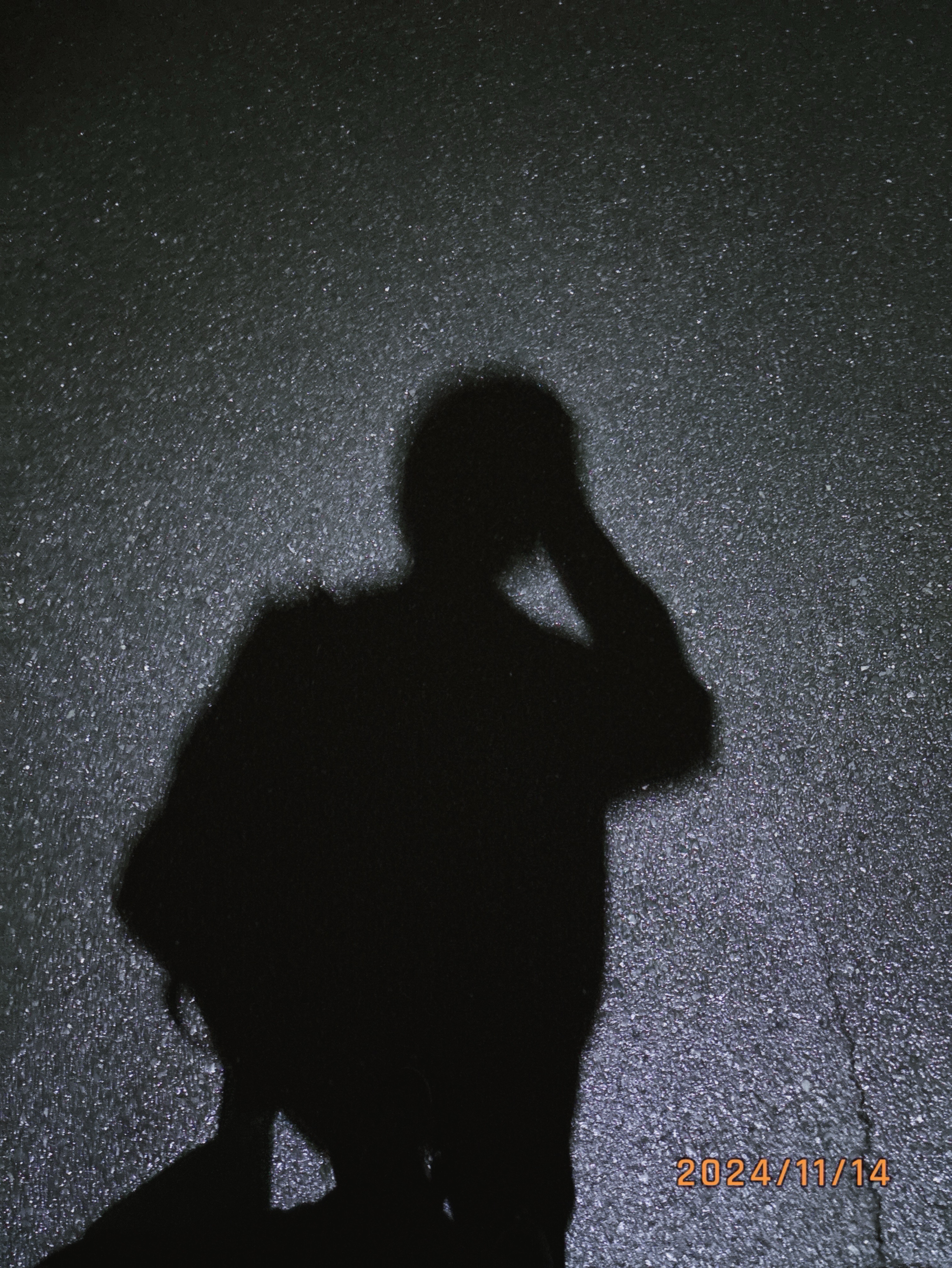 初見潜〇寝落ち配信