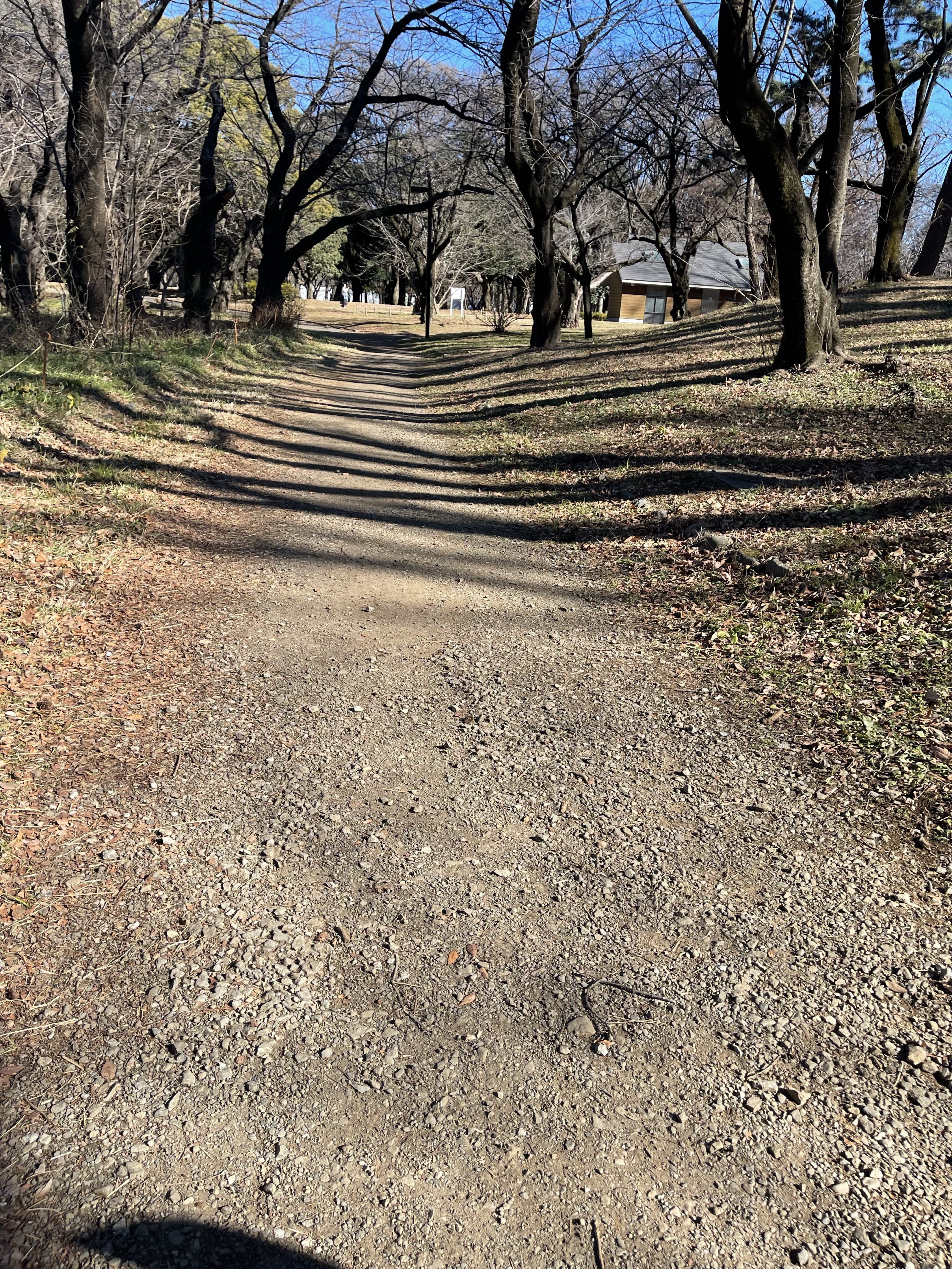 路上ライブ許可難しい👹