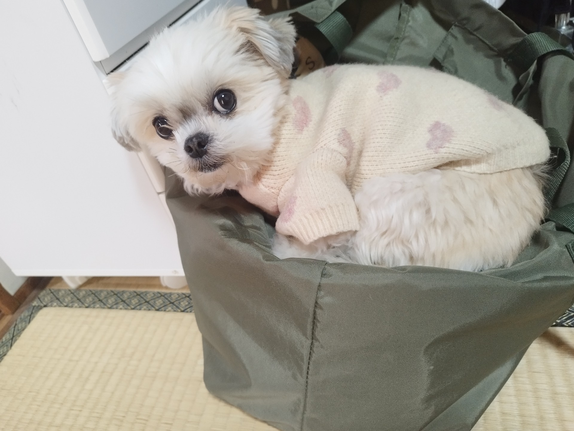 初見さん来ない枠(っ◞‸◟c)