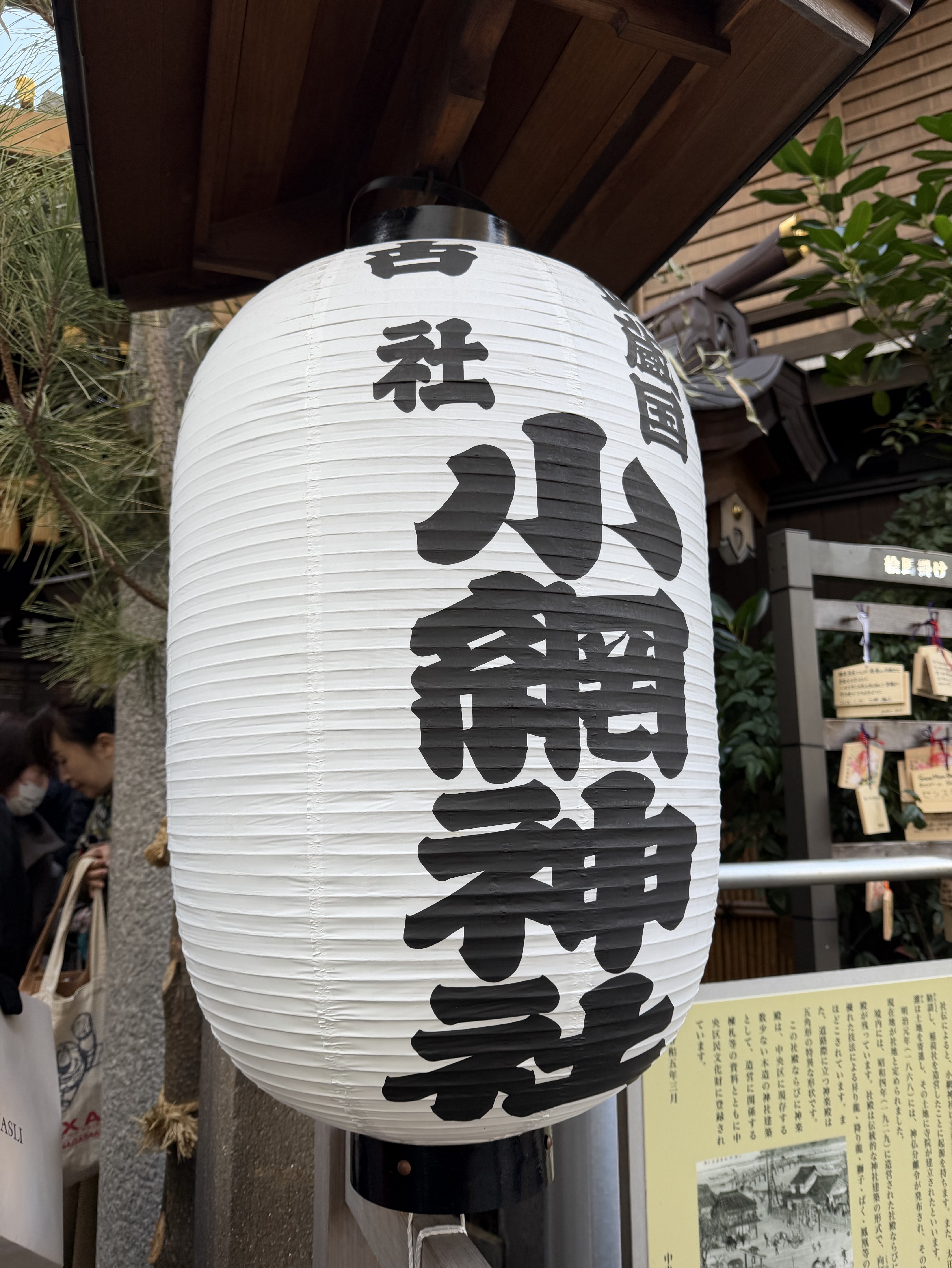 ハッピーな人です🪄︎︎💫