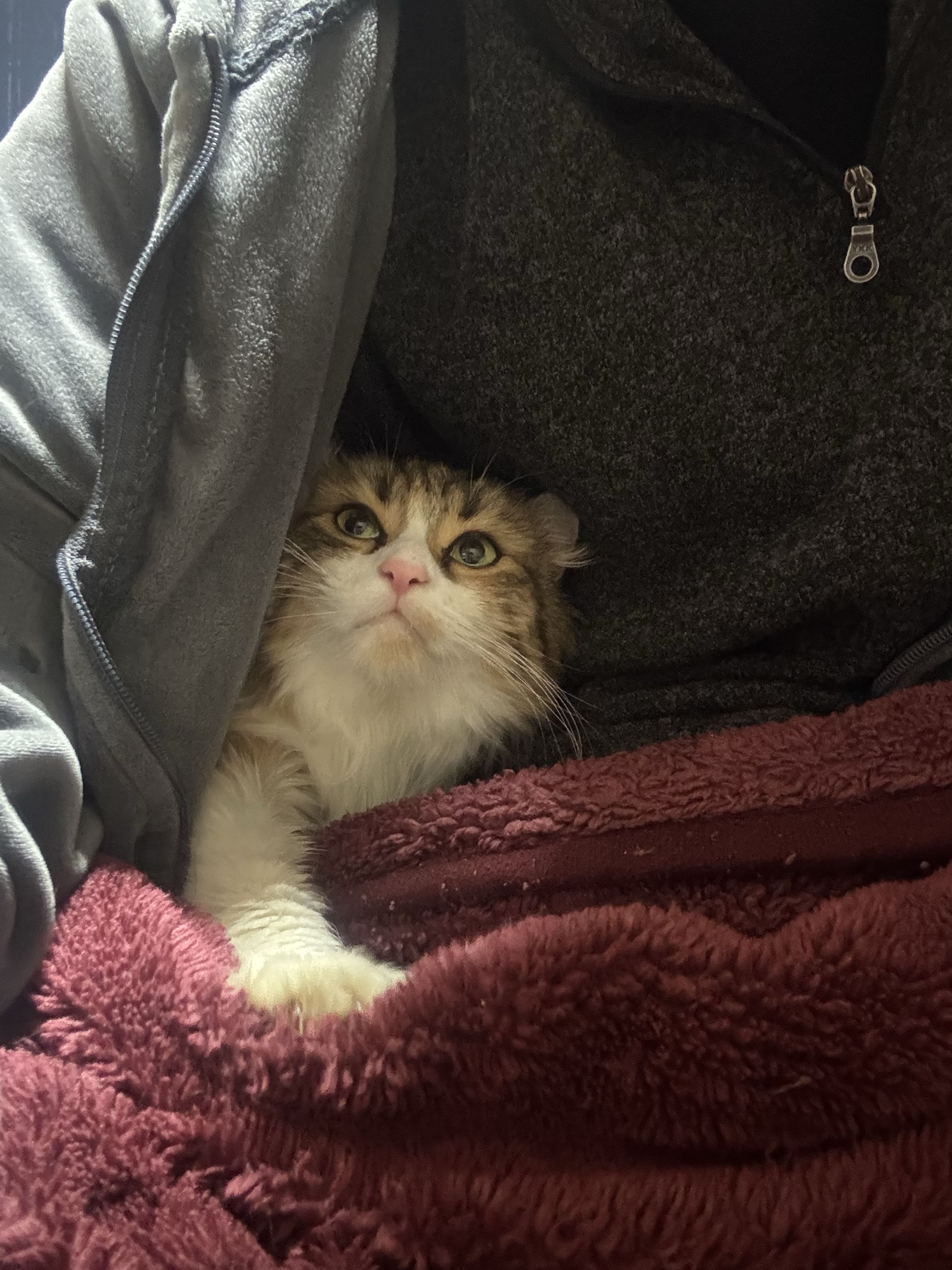 1/11    1缶付き合えよ