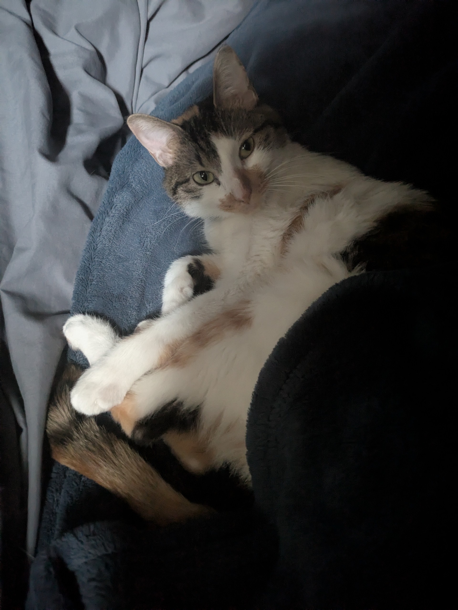 ゆったりおはなしおやすみたいむ