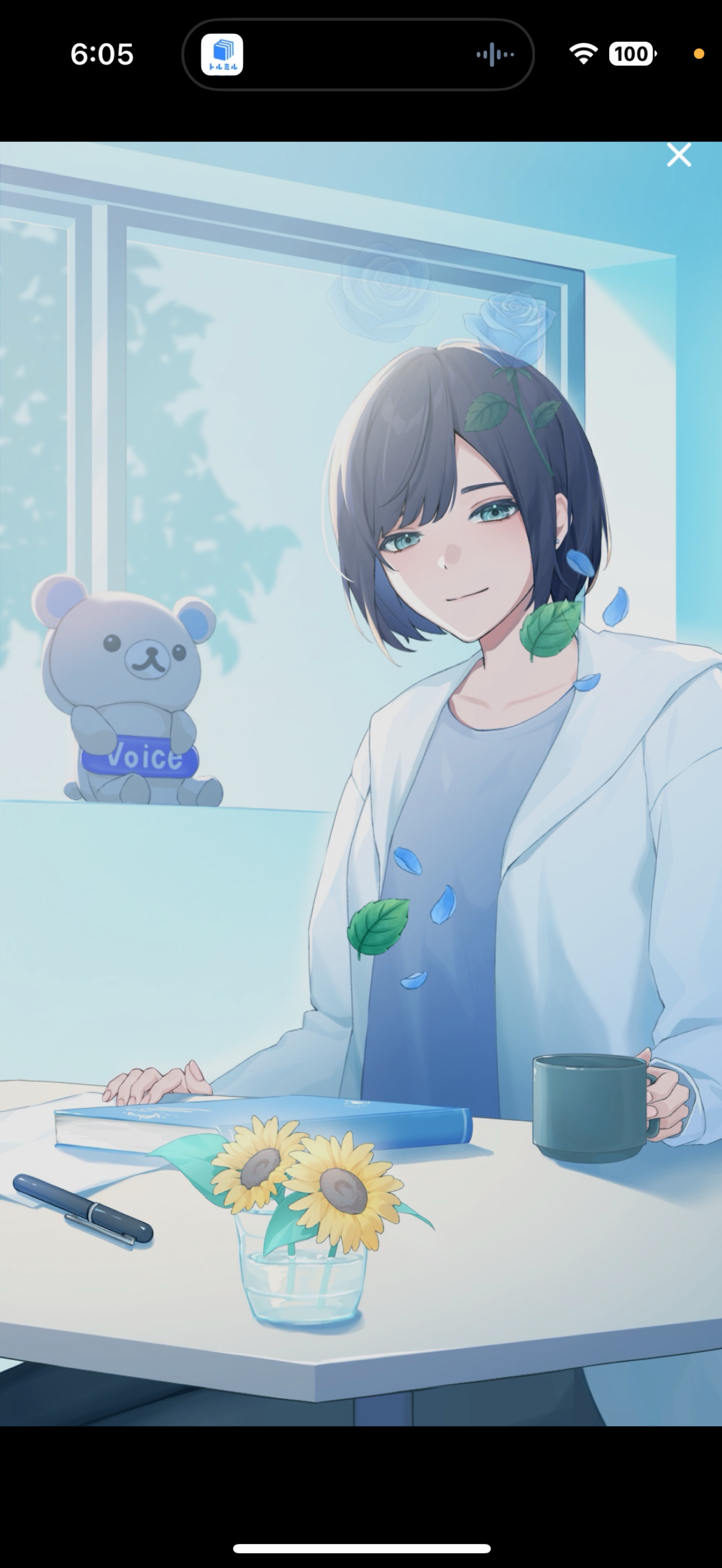 まったり中低音￤7:00まで☀️🌿‬のそ