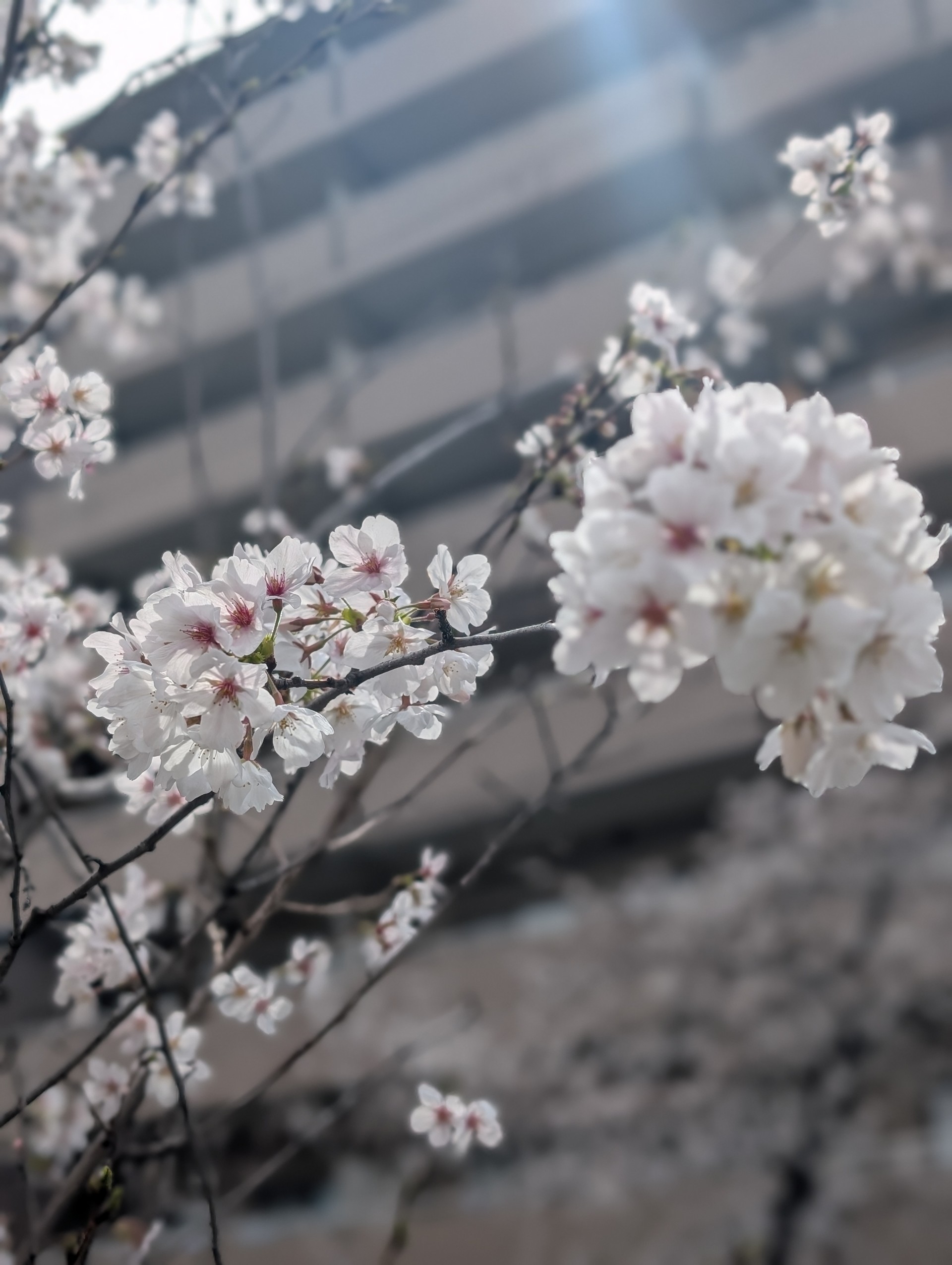 気軽に、話ましょう！