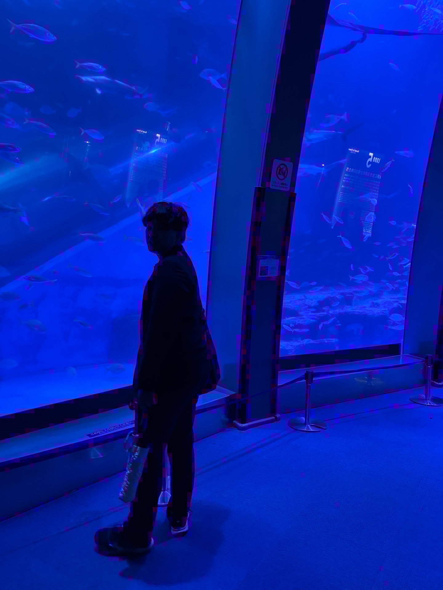 酔っ払いなのでなんでも話します