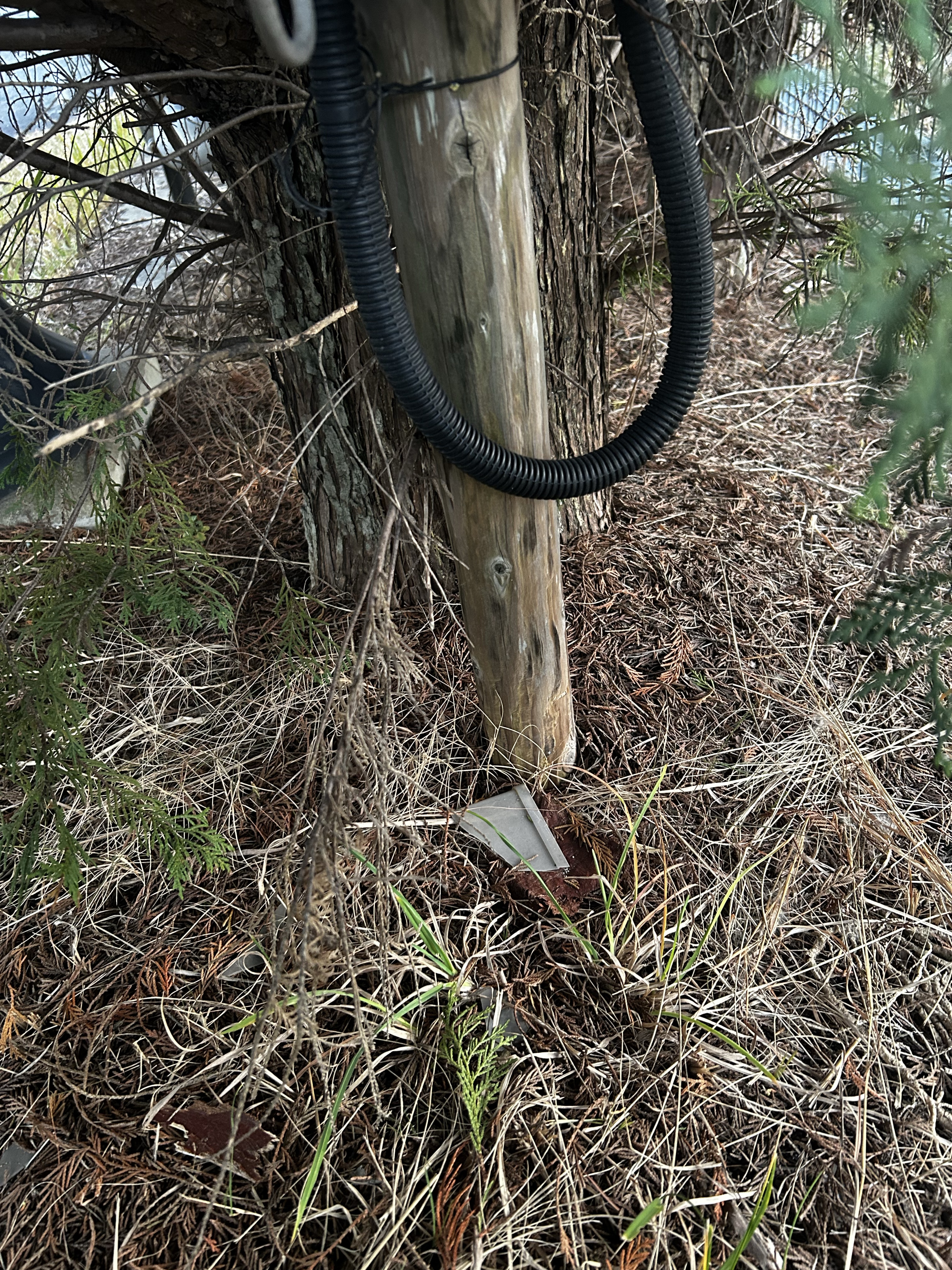 ちょっとだけおはなし🍑‼️