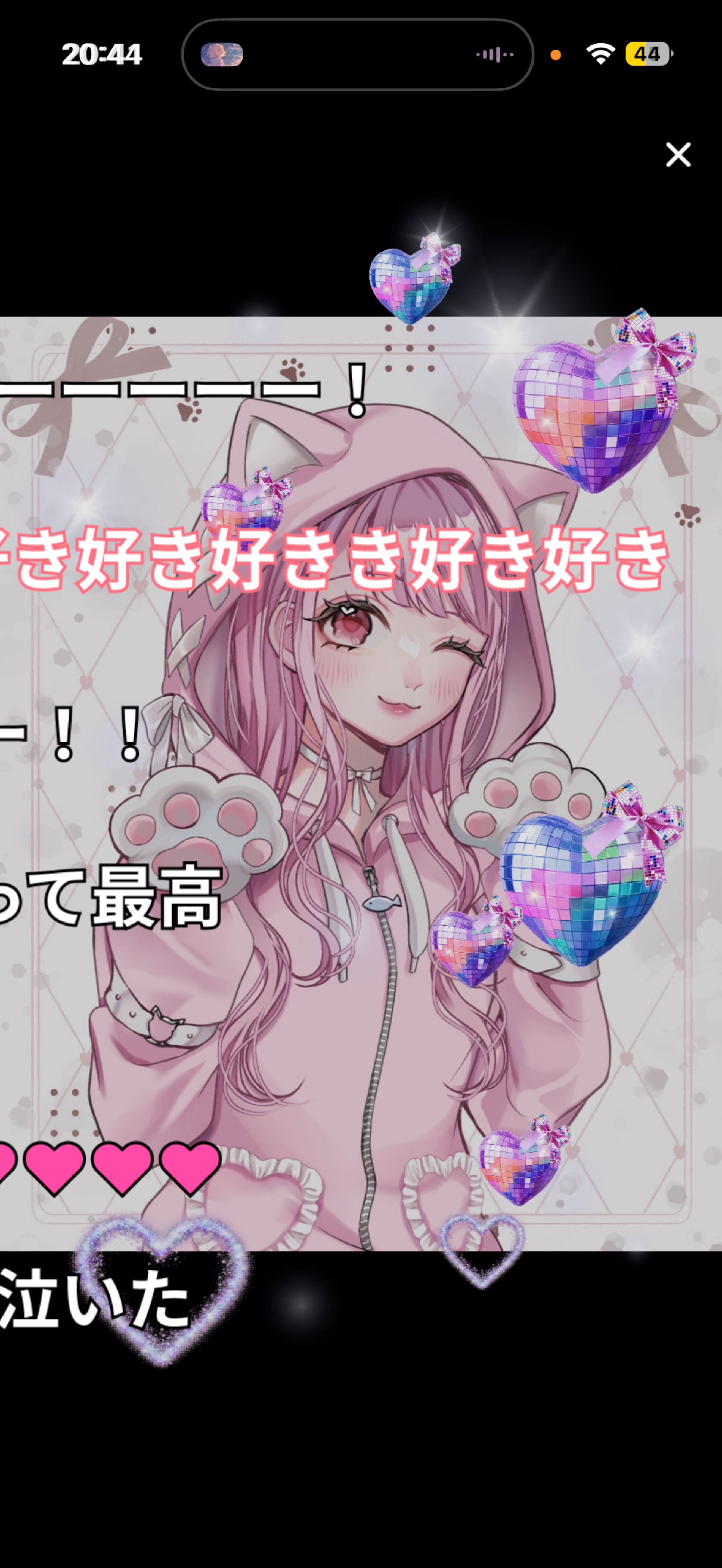 癒しのにゃん枠🐱🎀